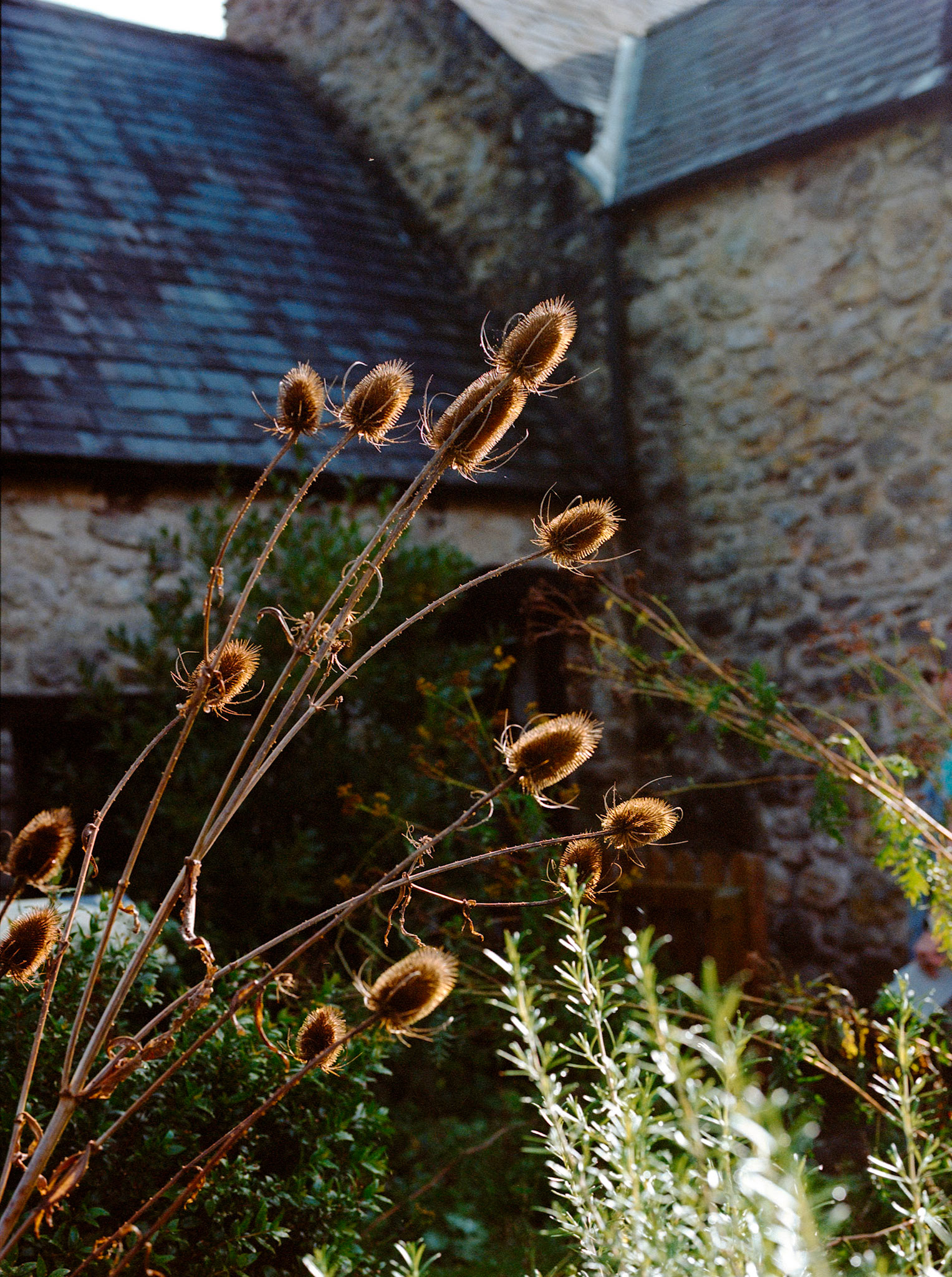 Beaumaris Castle Wales