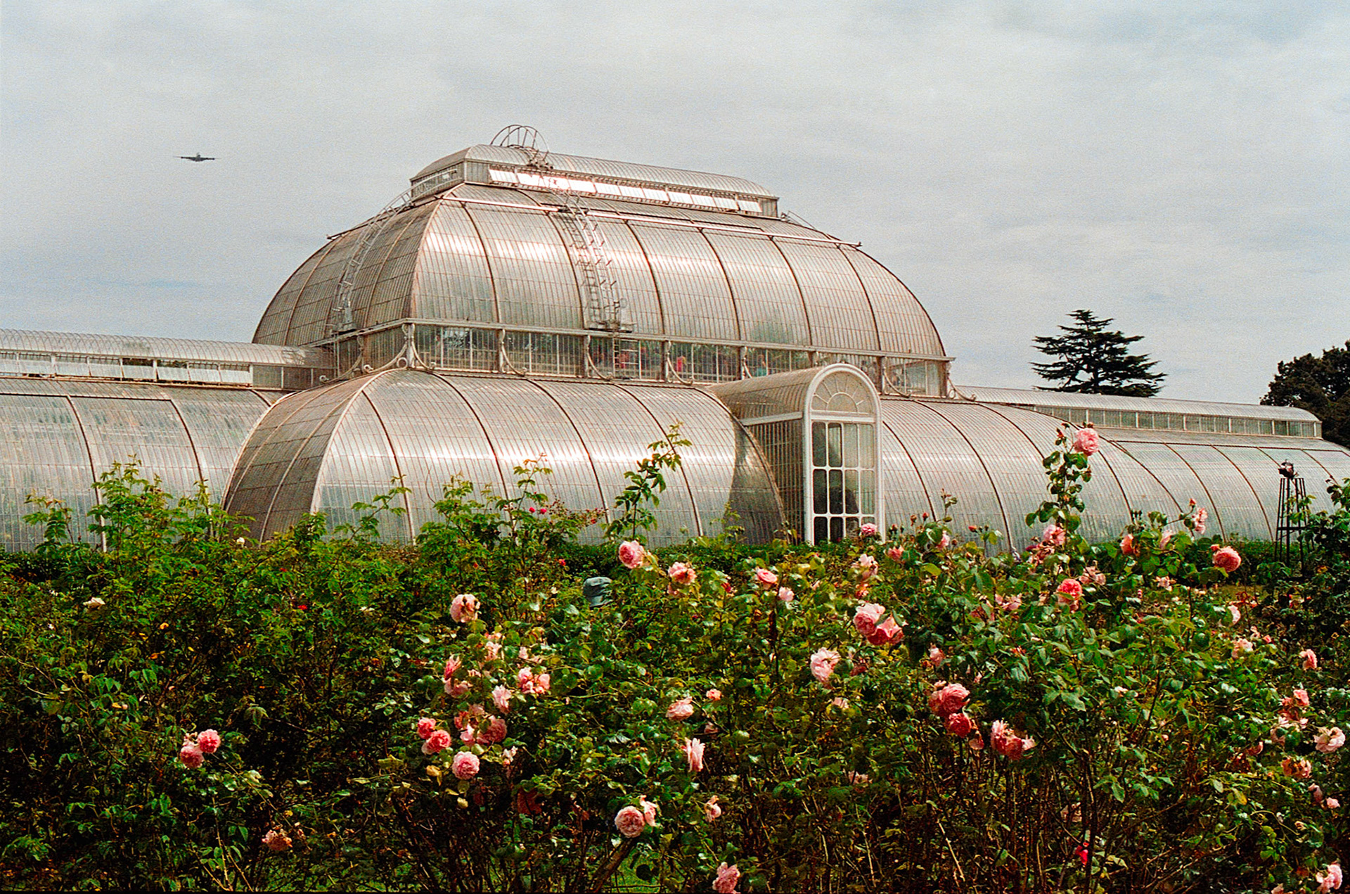 Kew