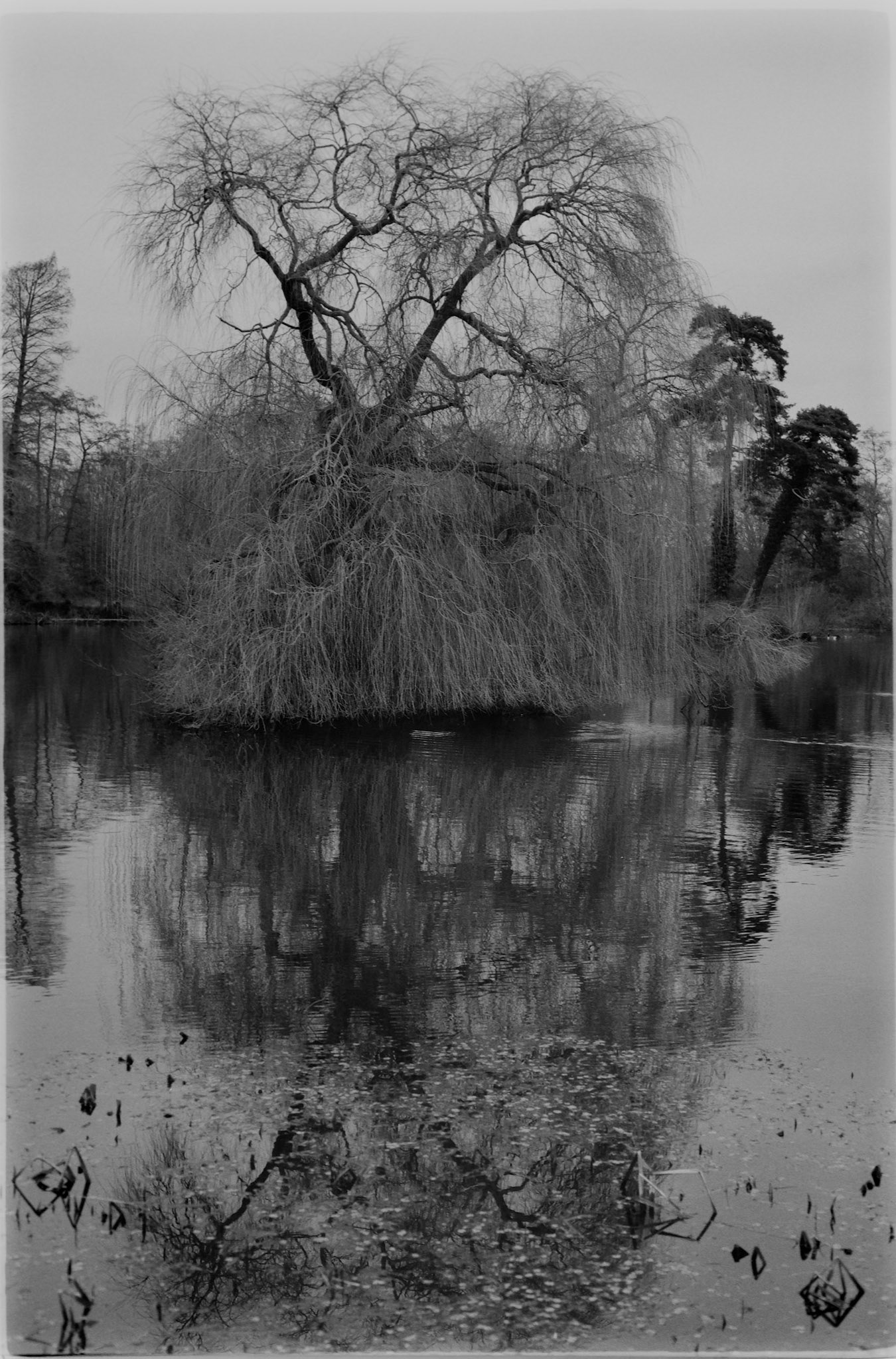 The work of 'Calamity" Brown