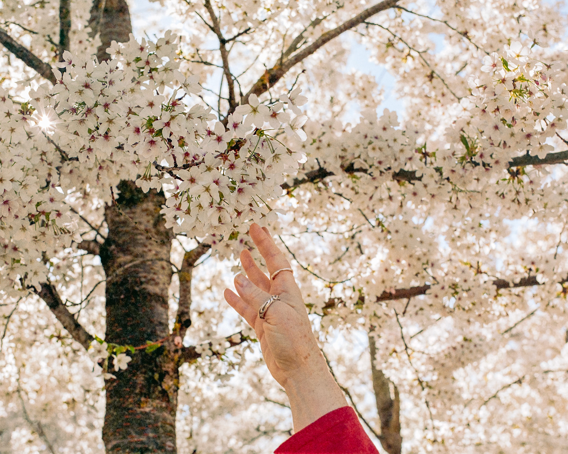 Out of reach
