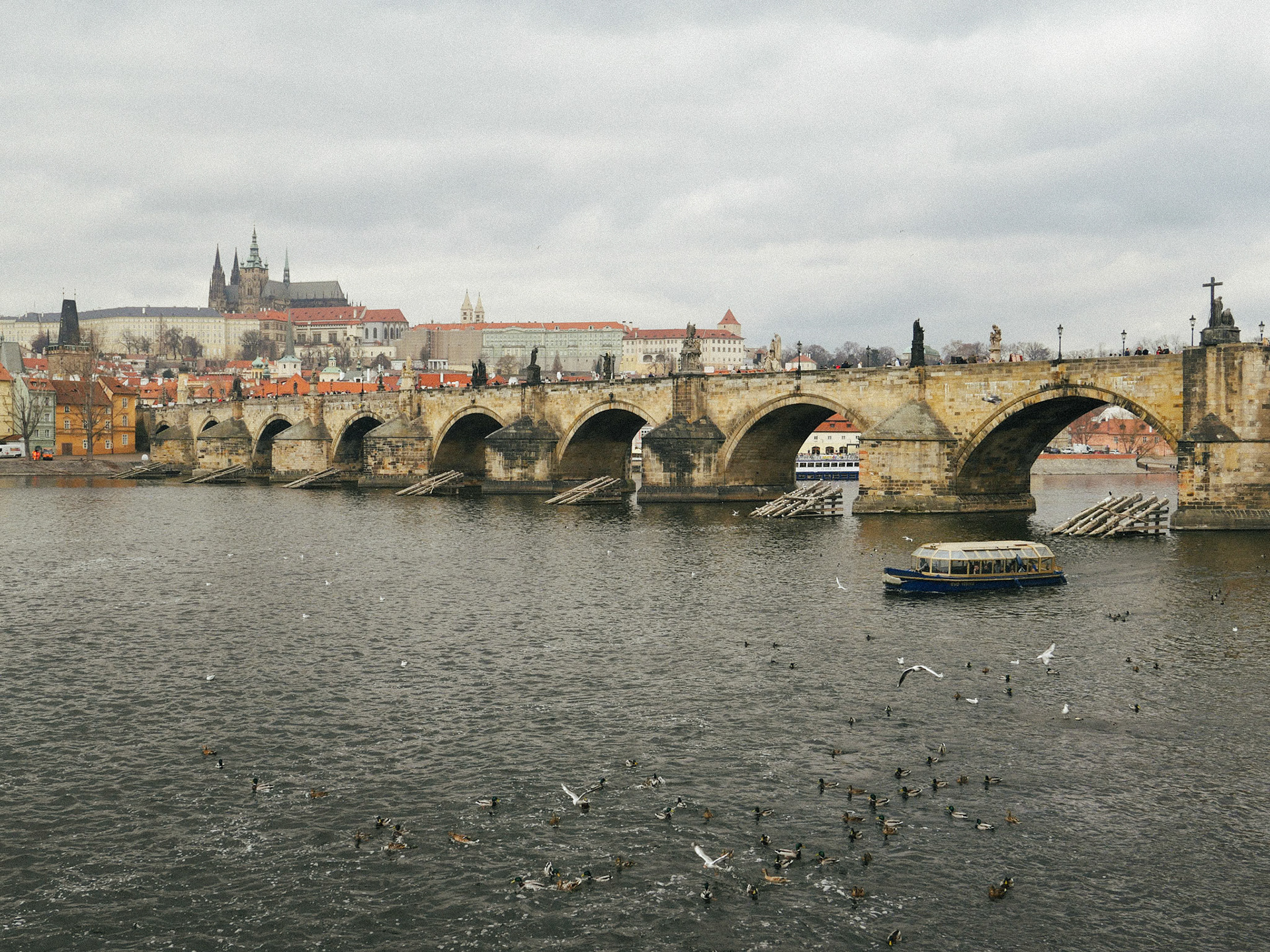 Charles Bridge