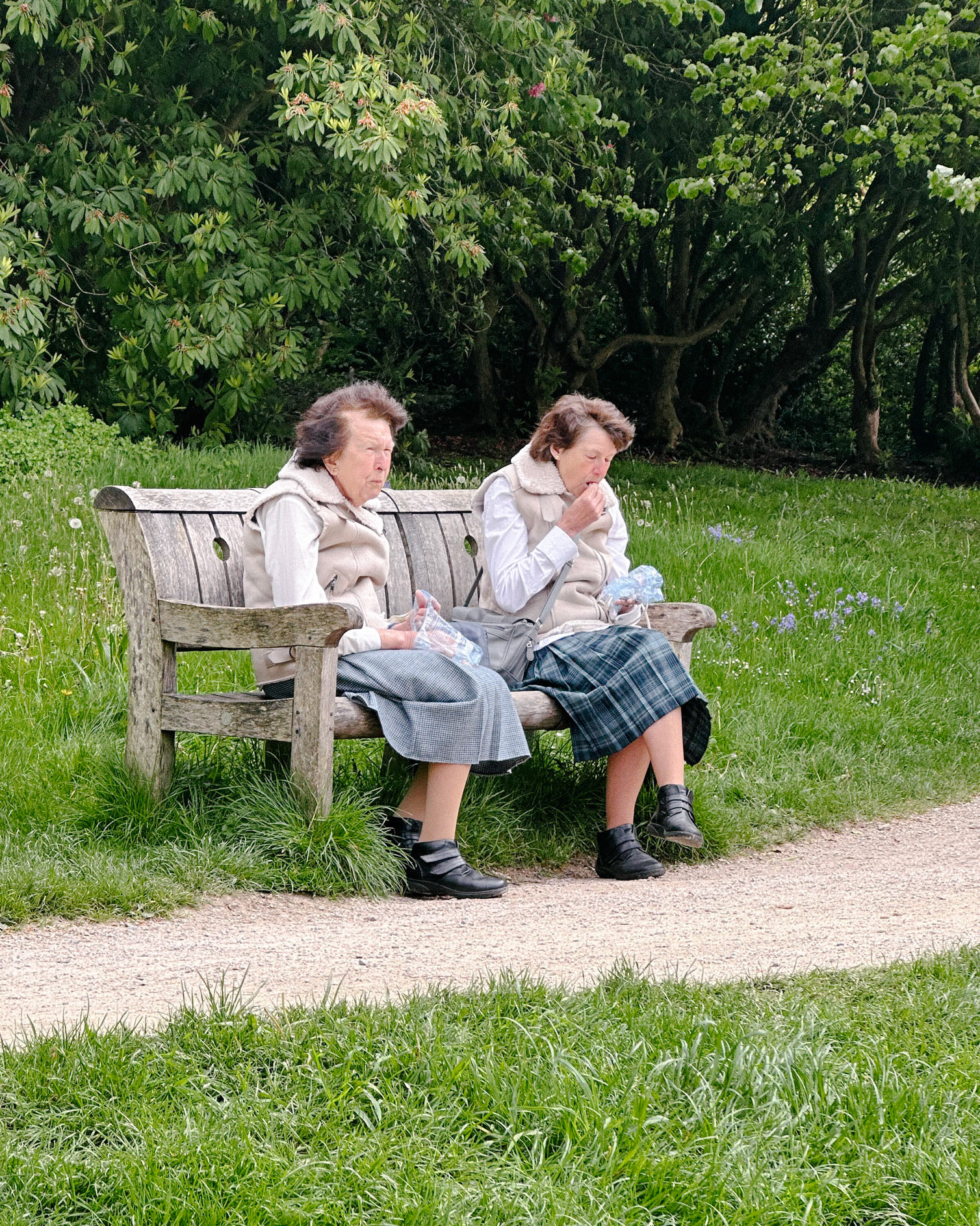 Sisters at Stourhead iPhone
