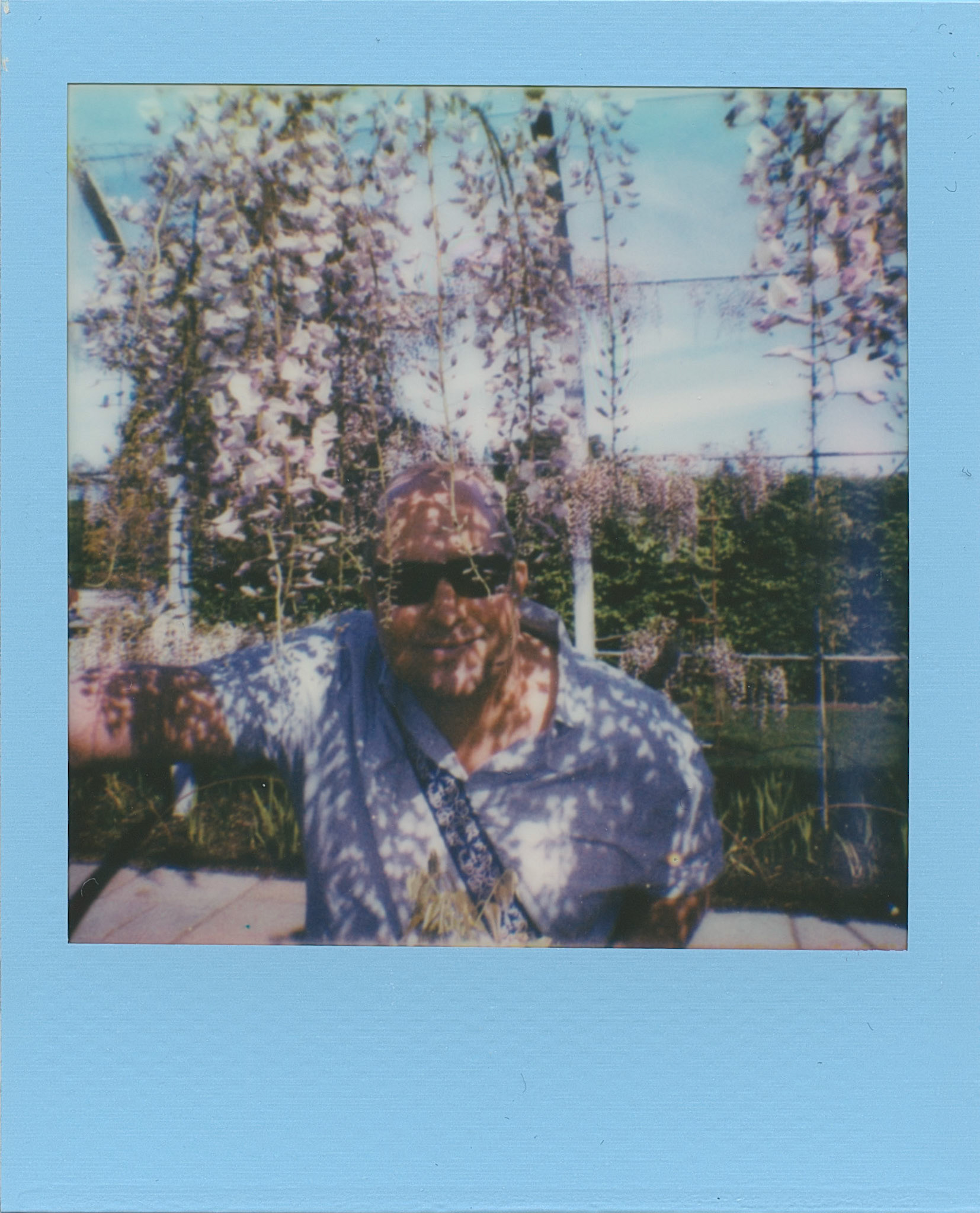 Man in Wisteria Paularoid