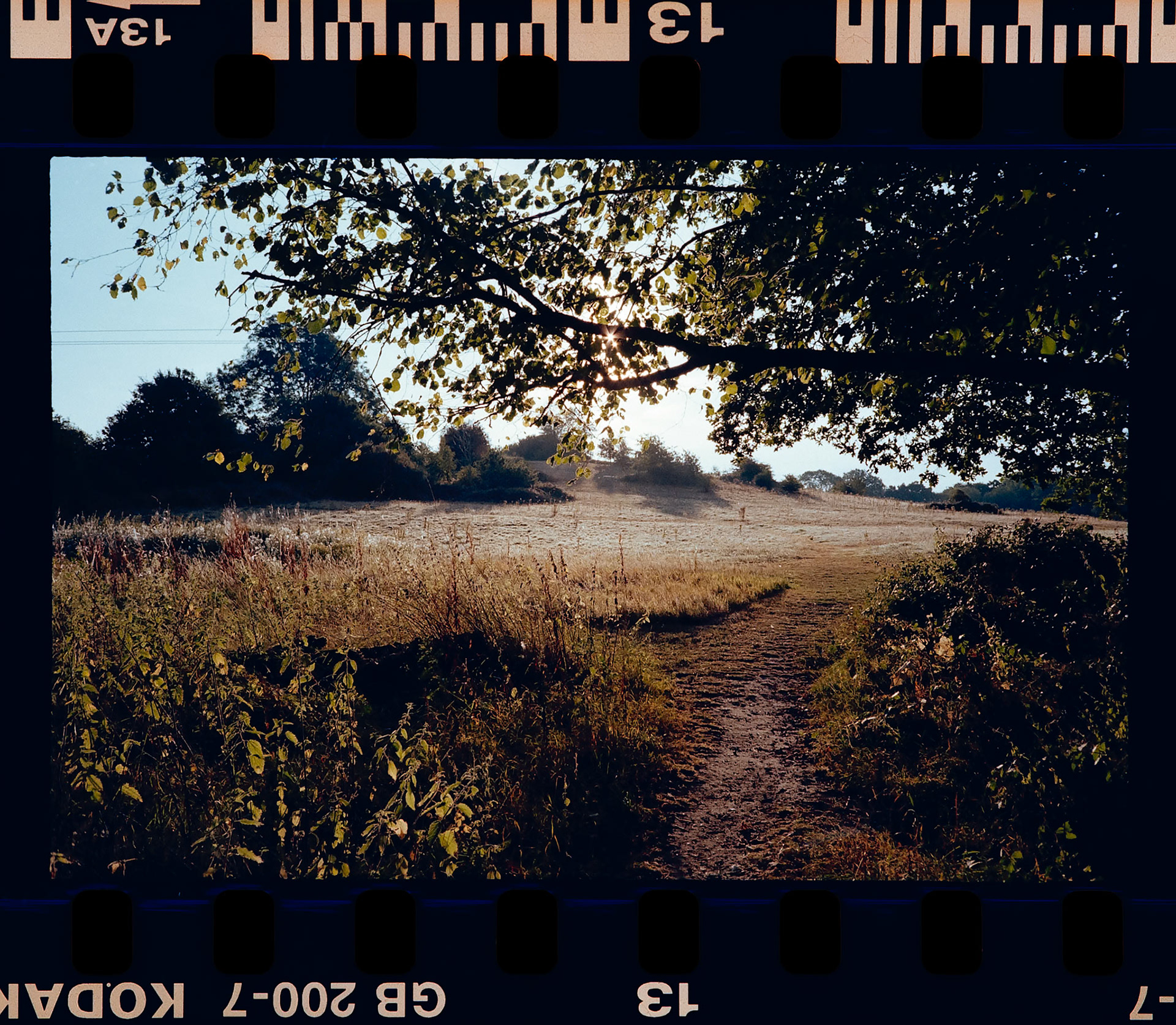 Dad's Old Olympus Camera