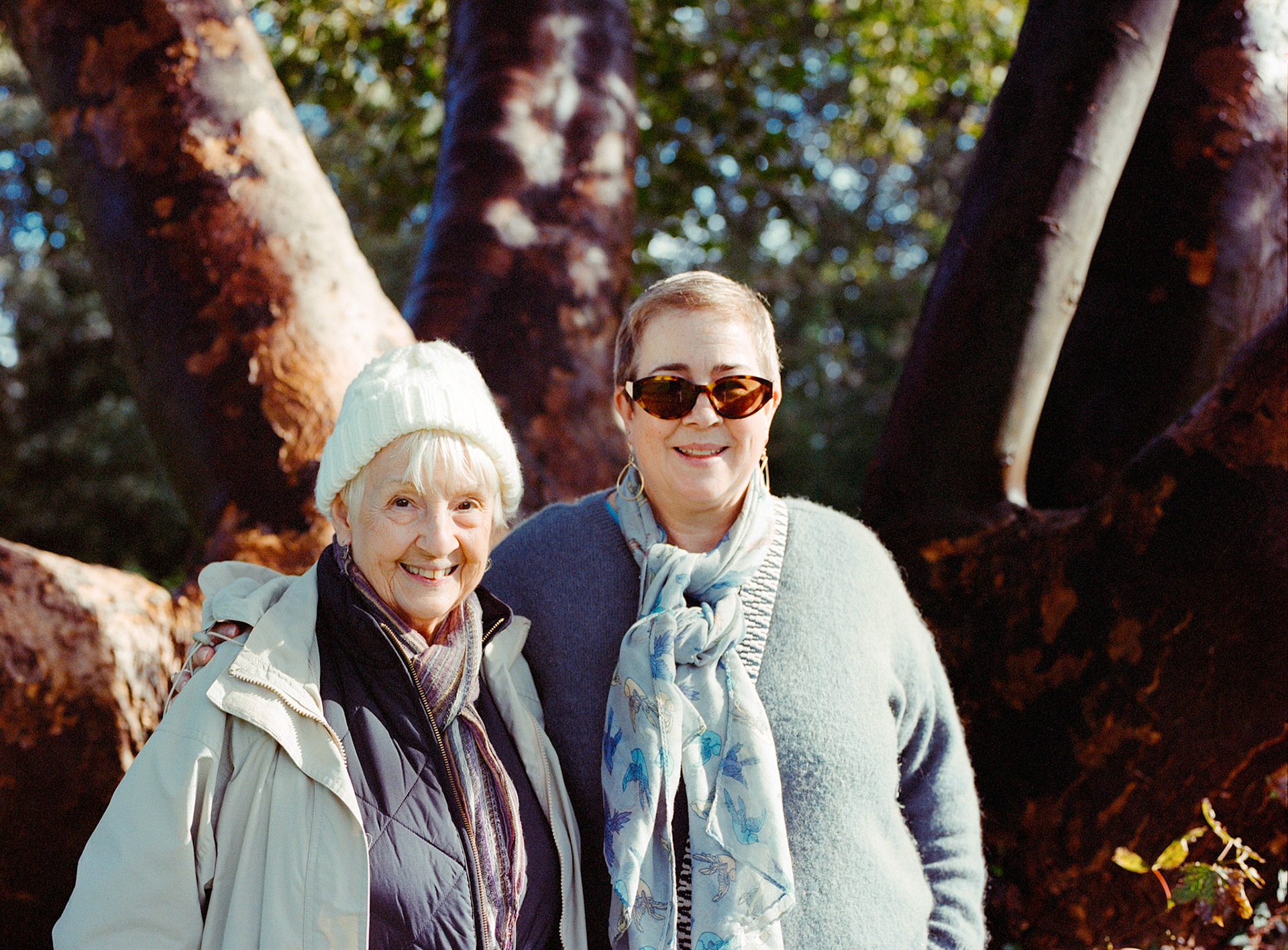 Basingwerk Abbey Wales
