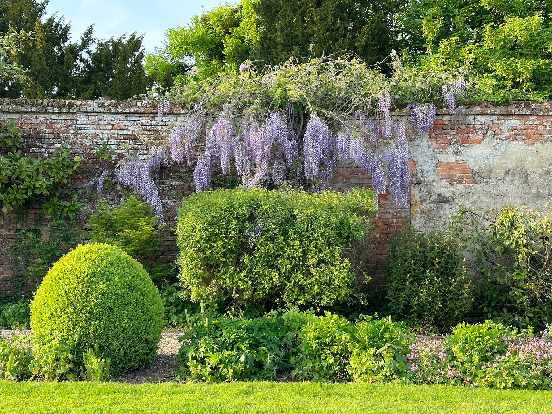Walled Garden iPhone