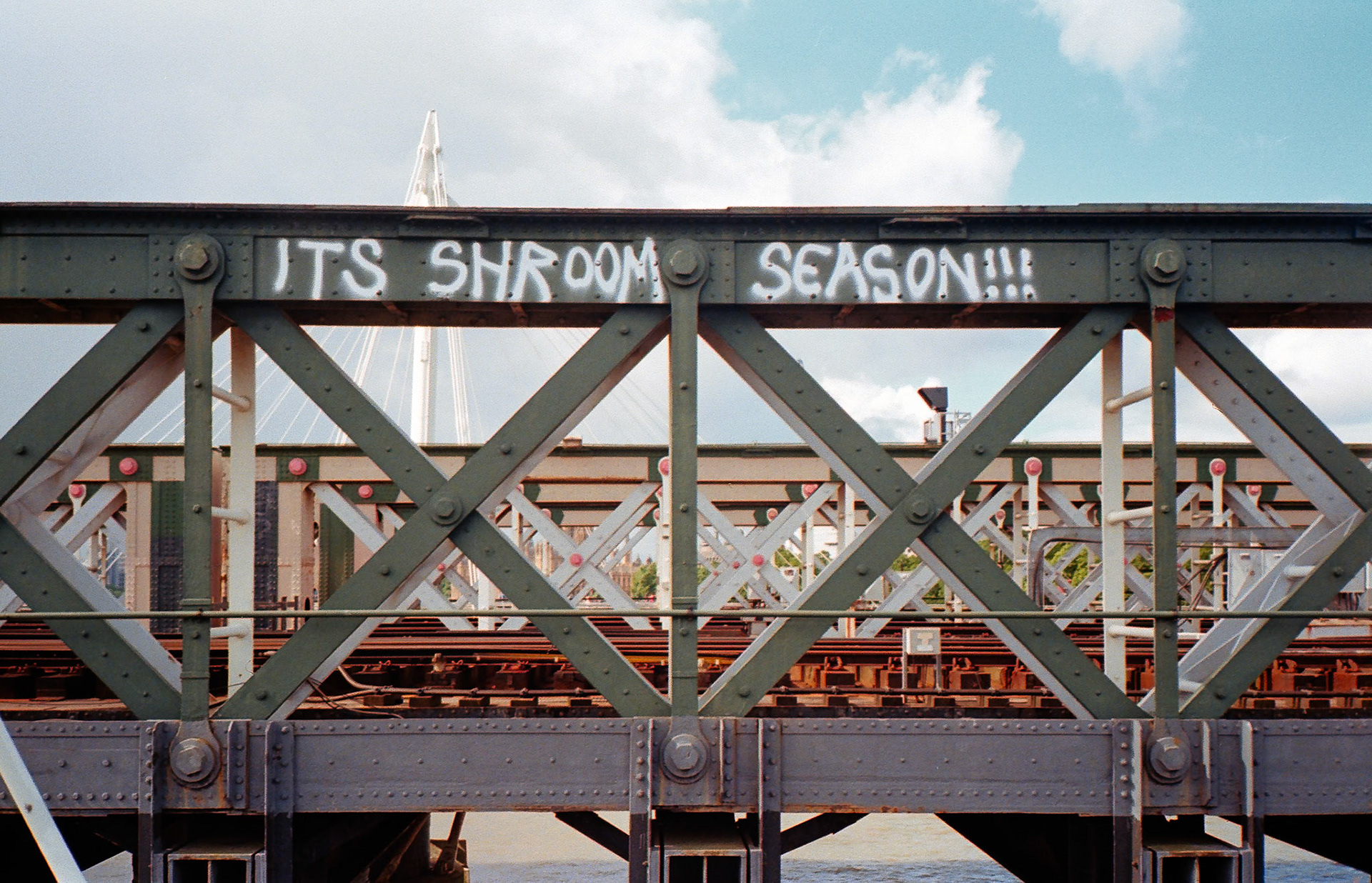 Shroom Season on Dad's Olympus