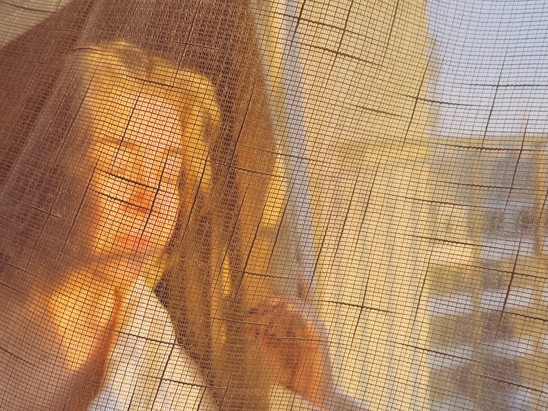 Morning at Park Lane on iPhone