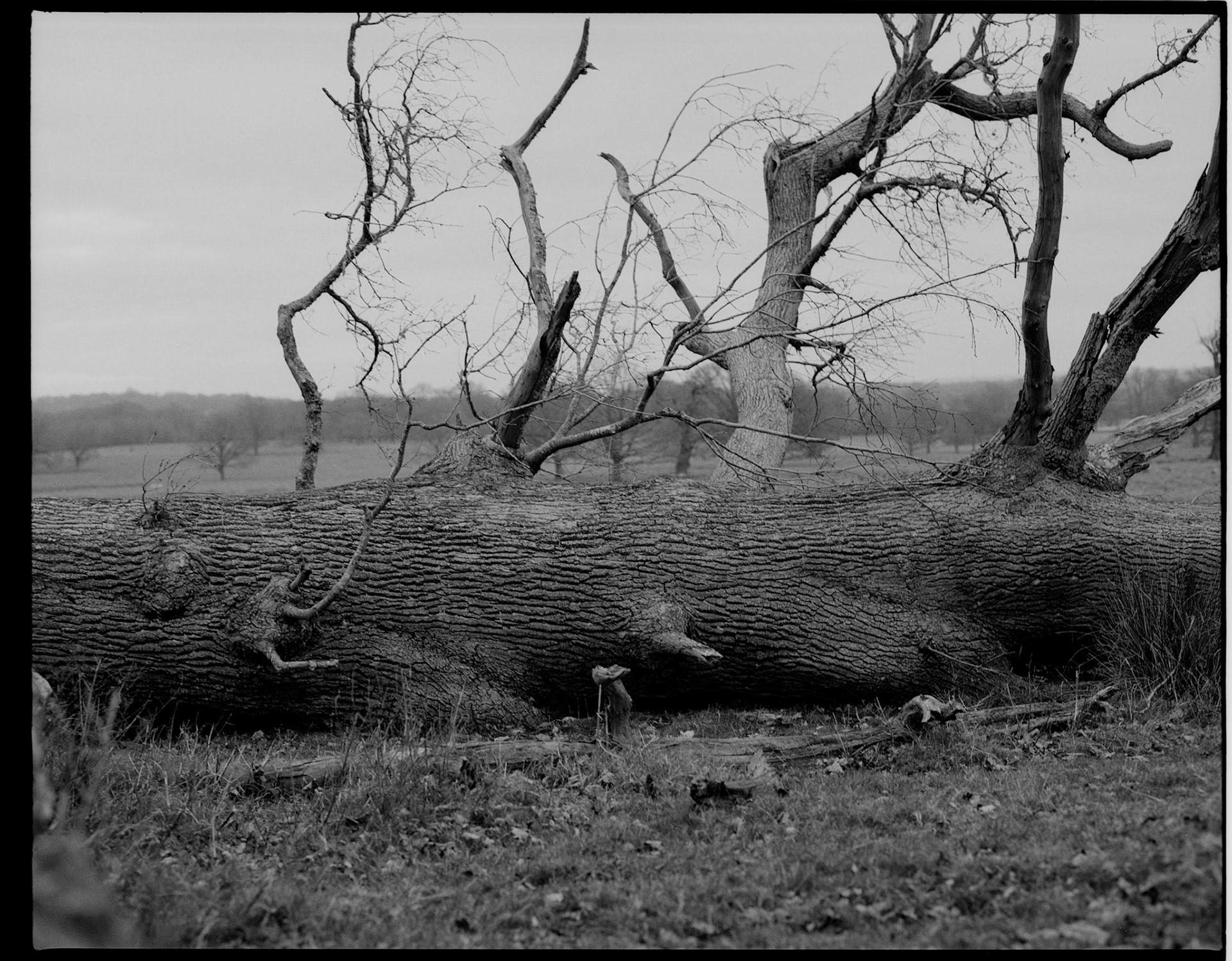Petworth