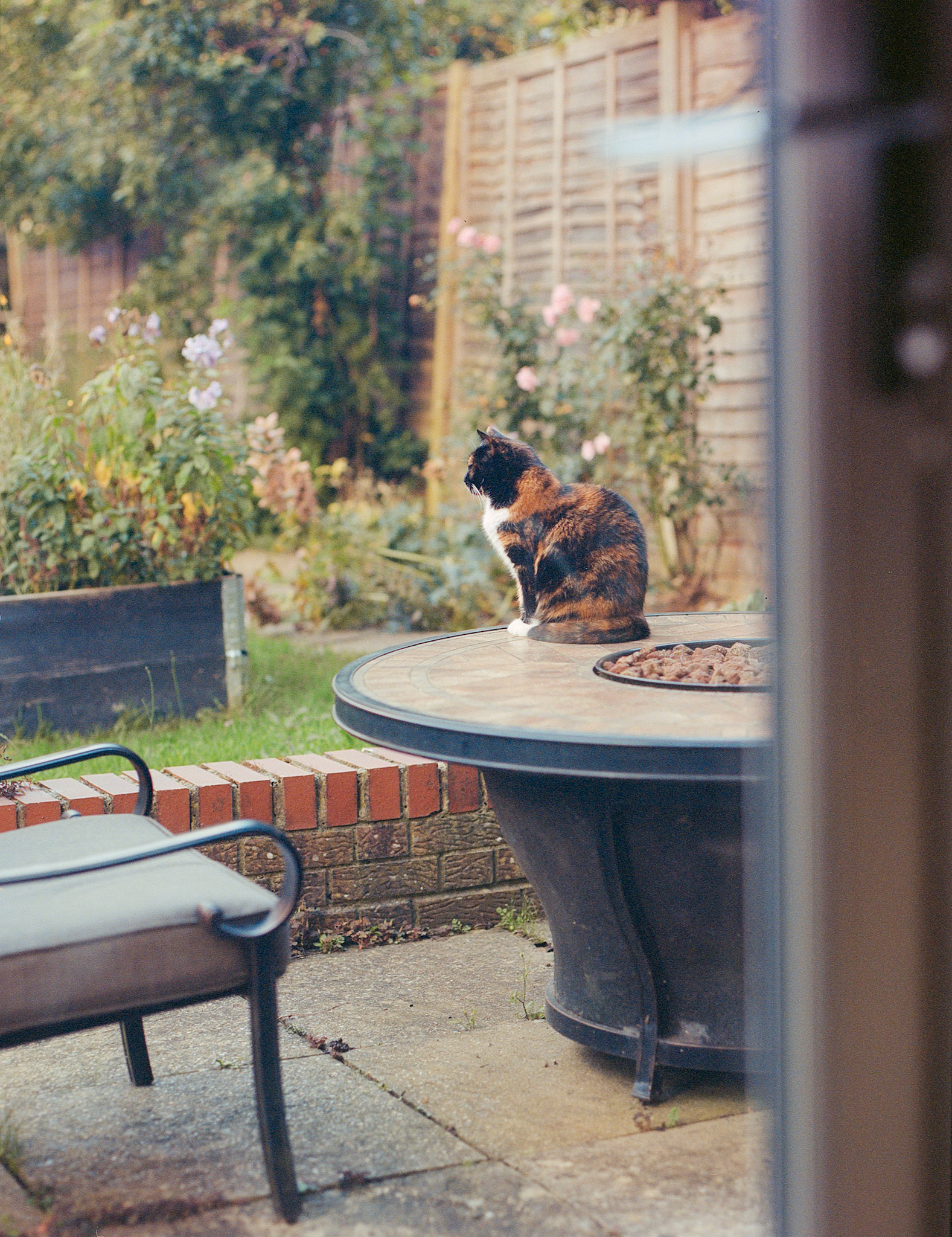 Viewpoint Film