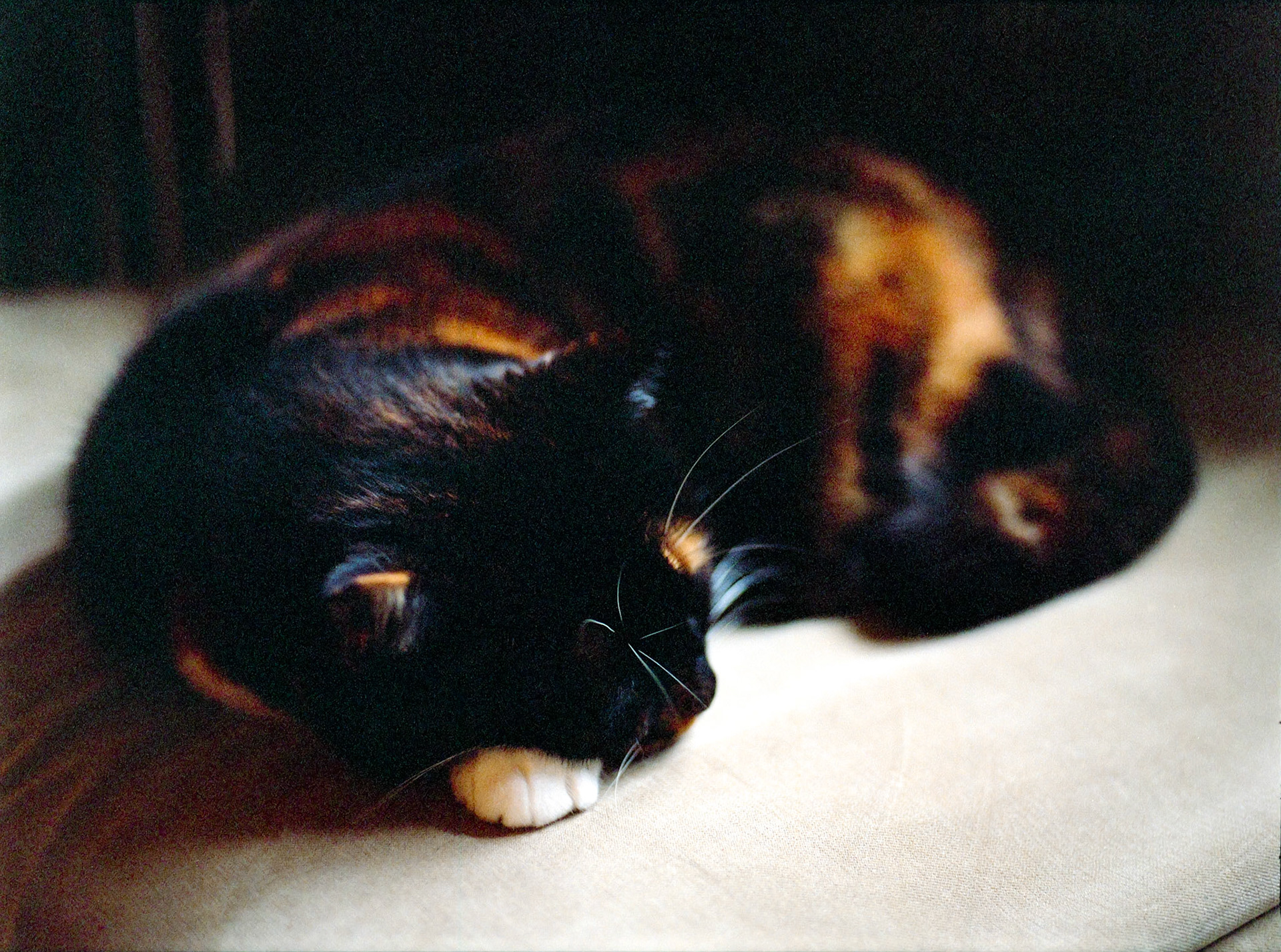 Nap time