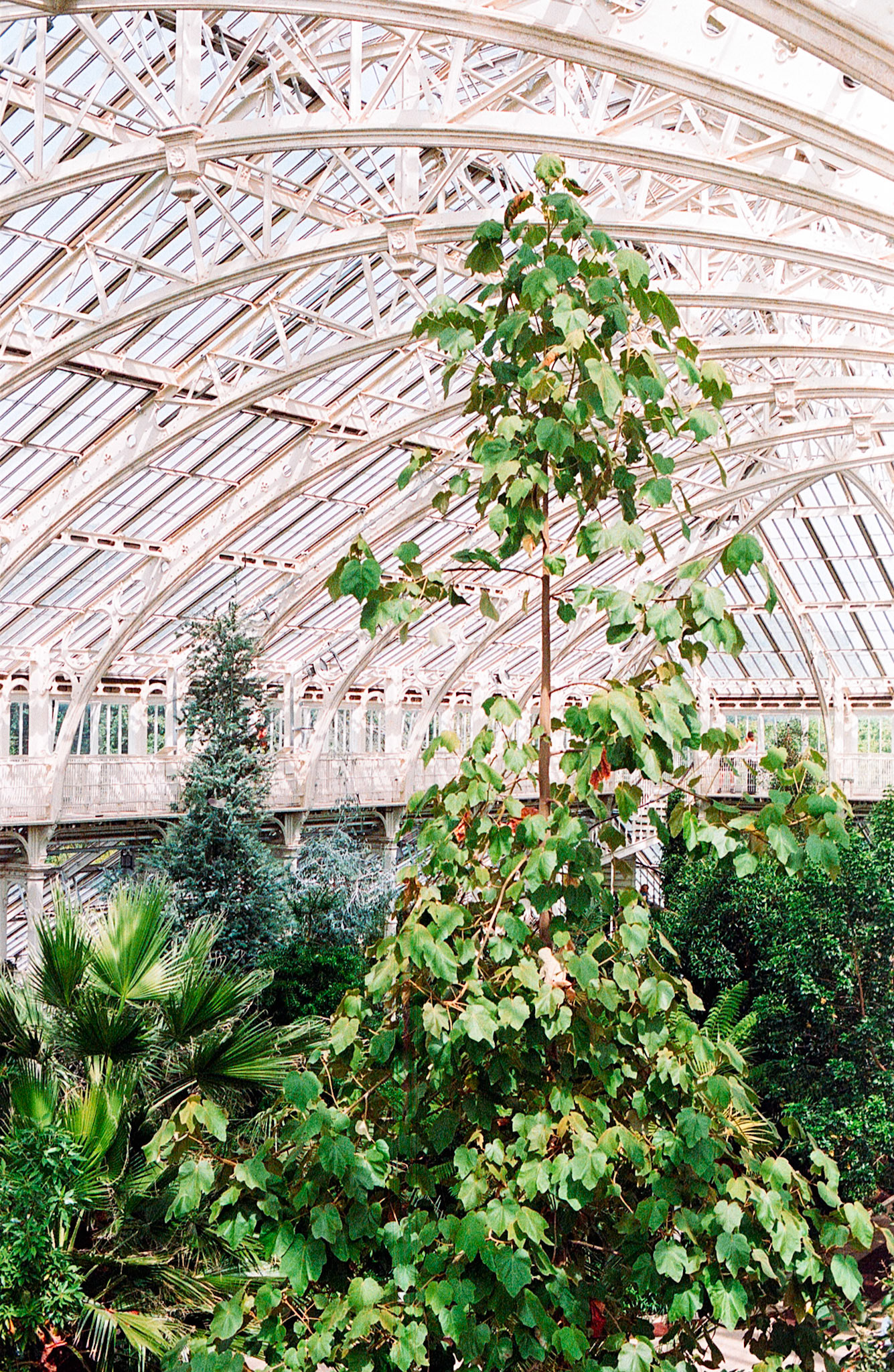Kew