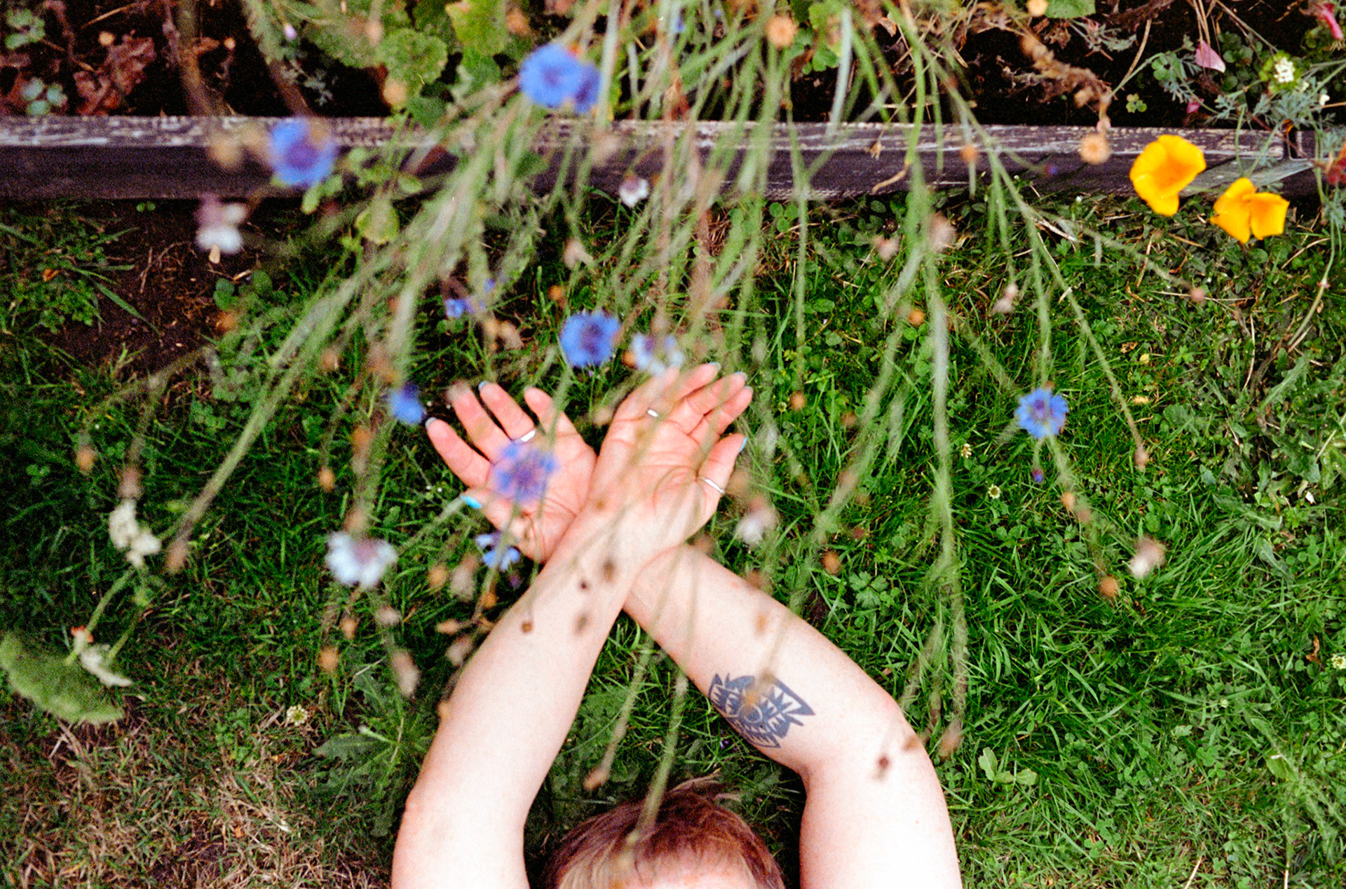 Her wildflowers