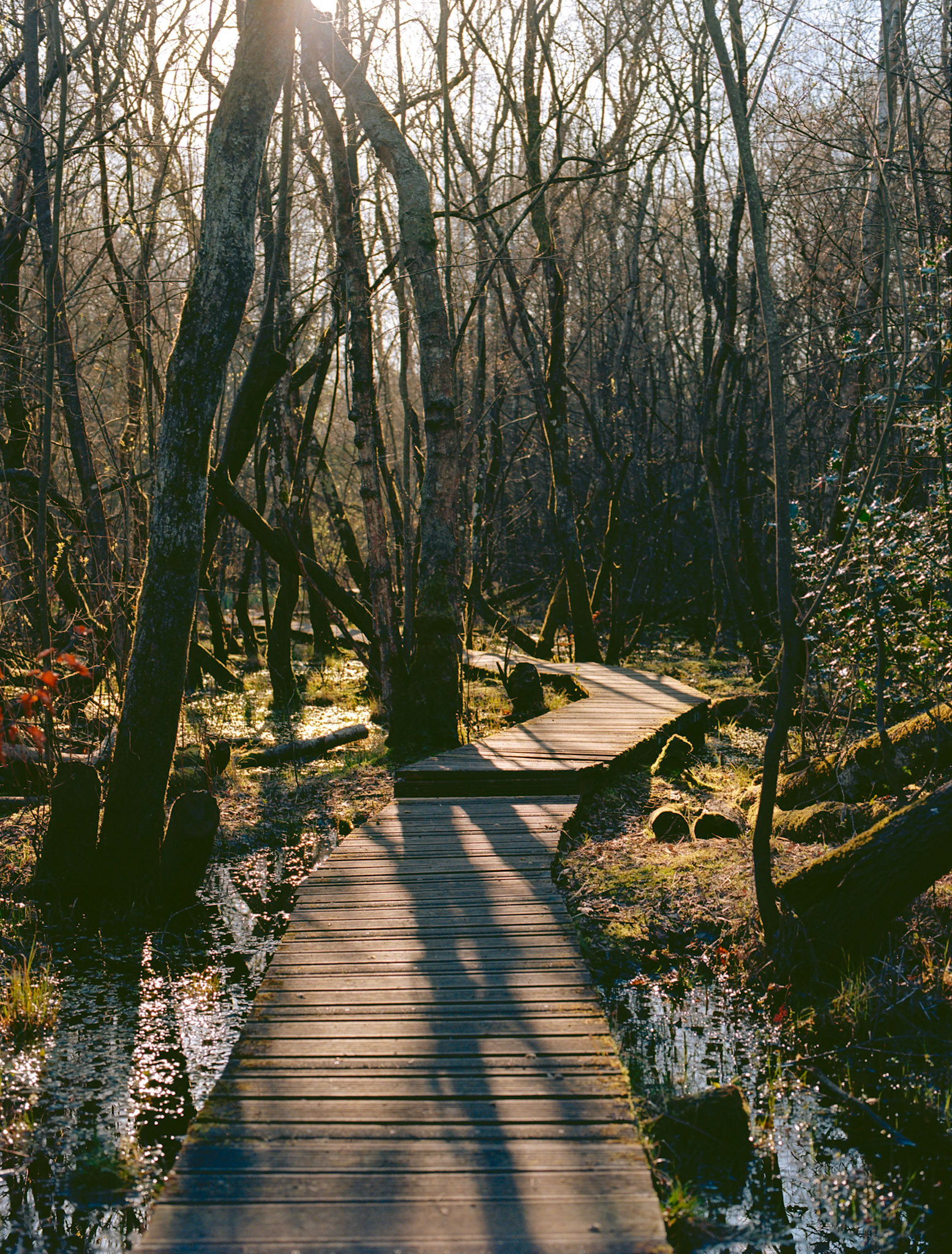 Path