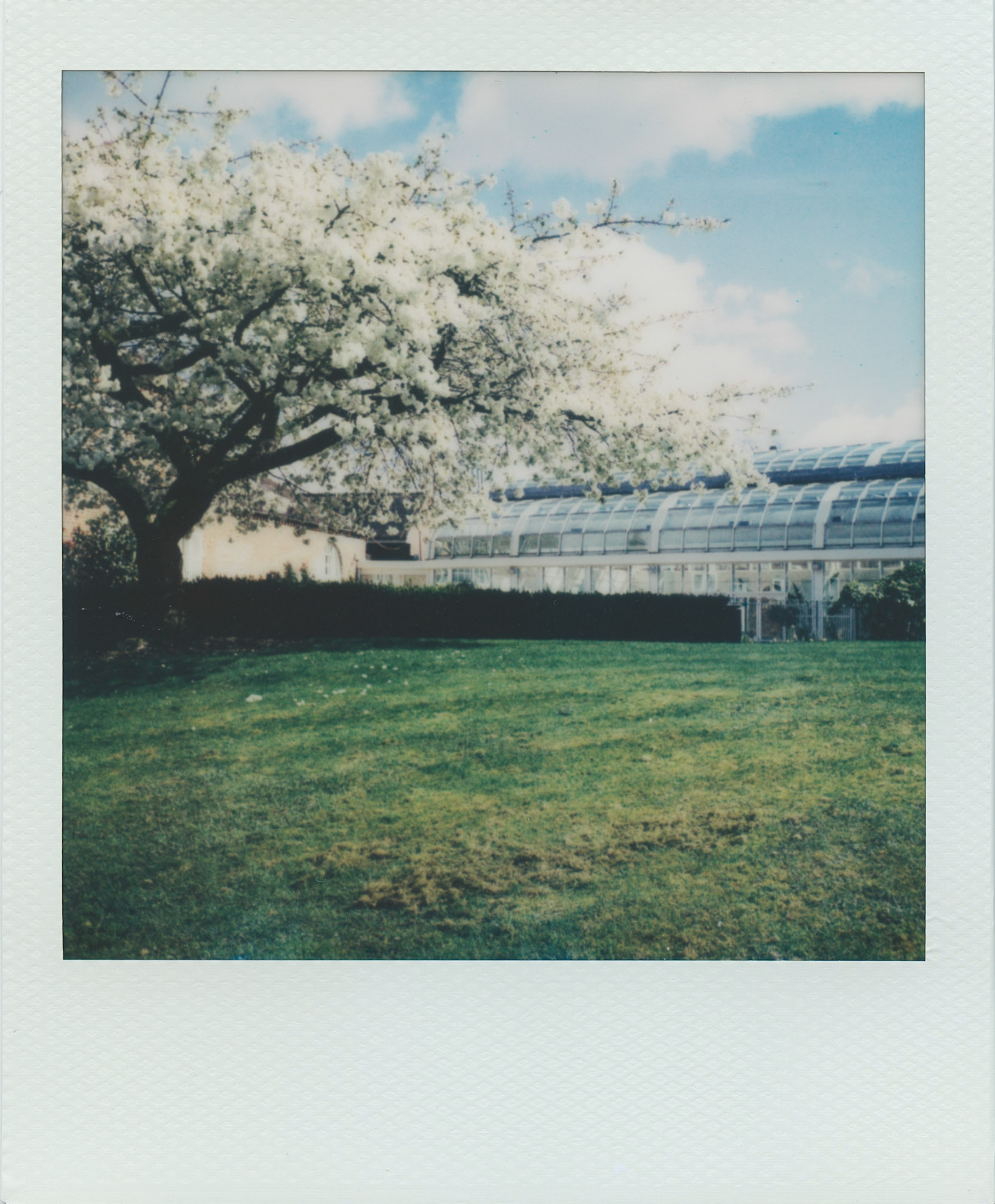 Spring