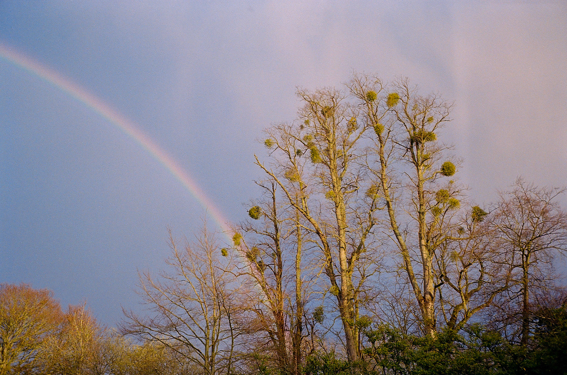 Rainbow on Dad's Olympus
