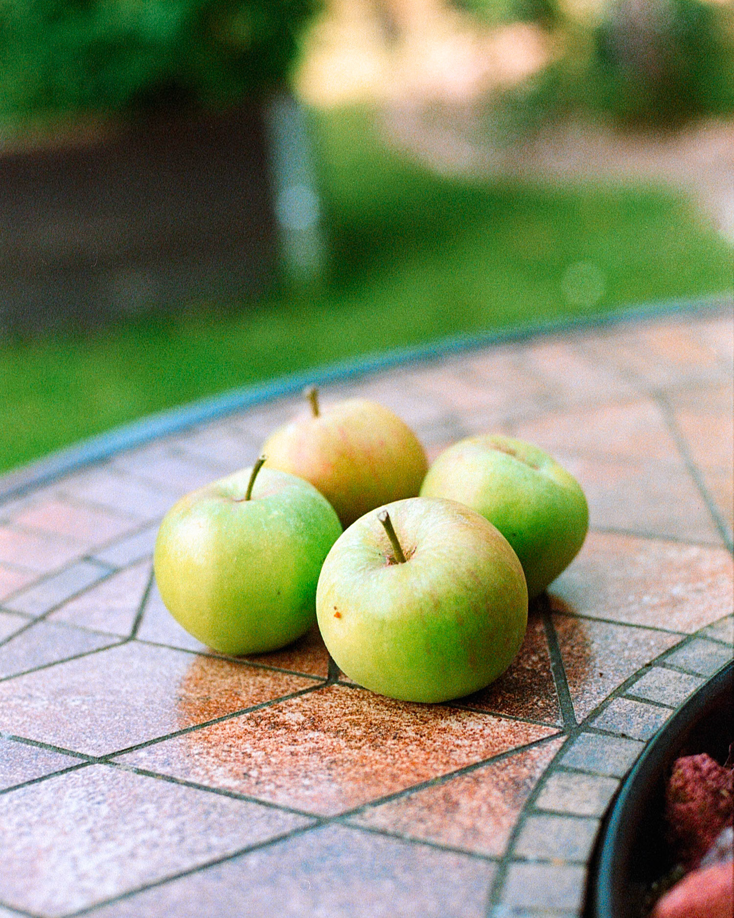 Apples from our Little Tree
