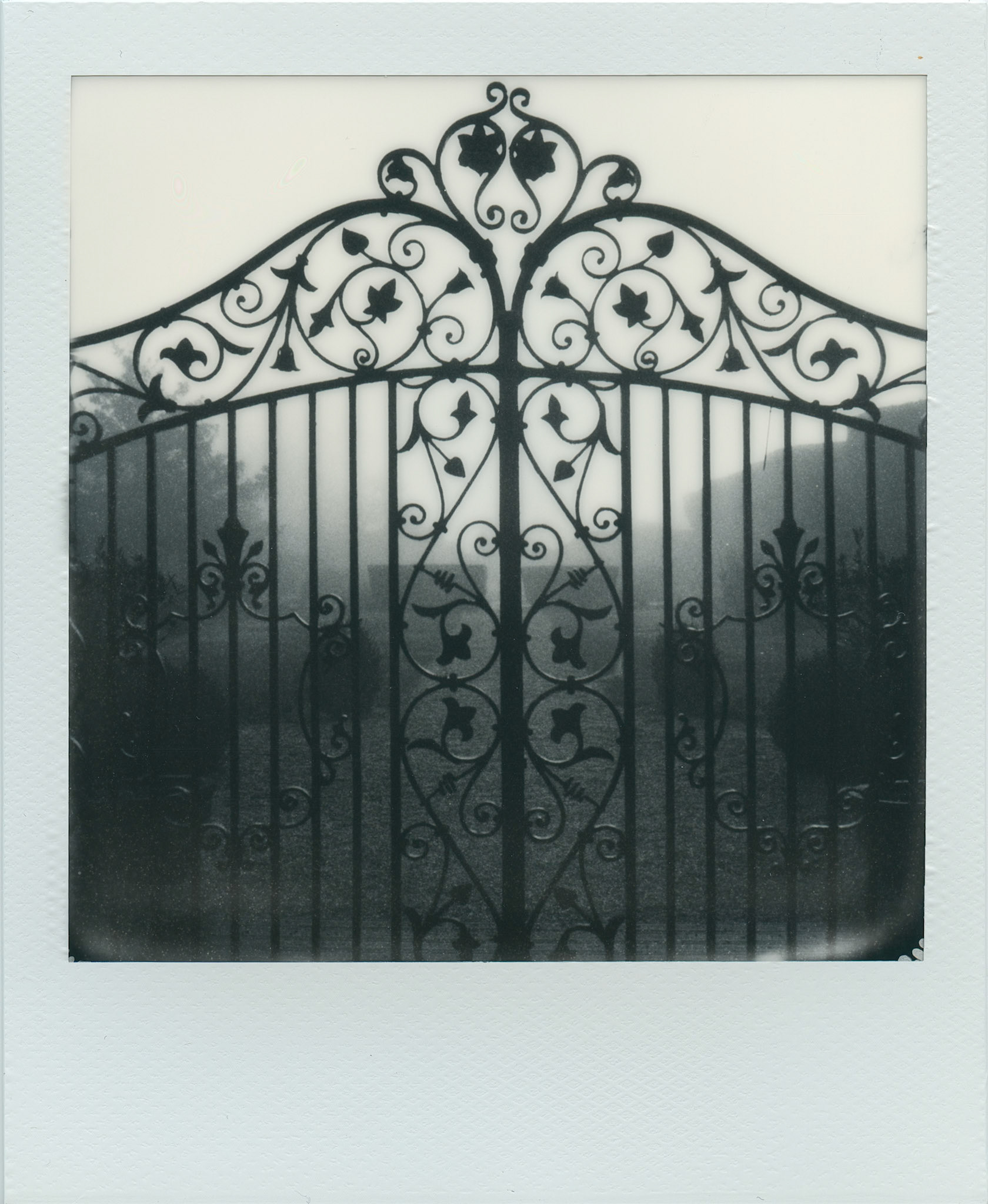Walled Garden