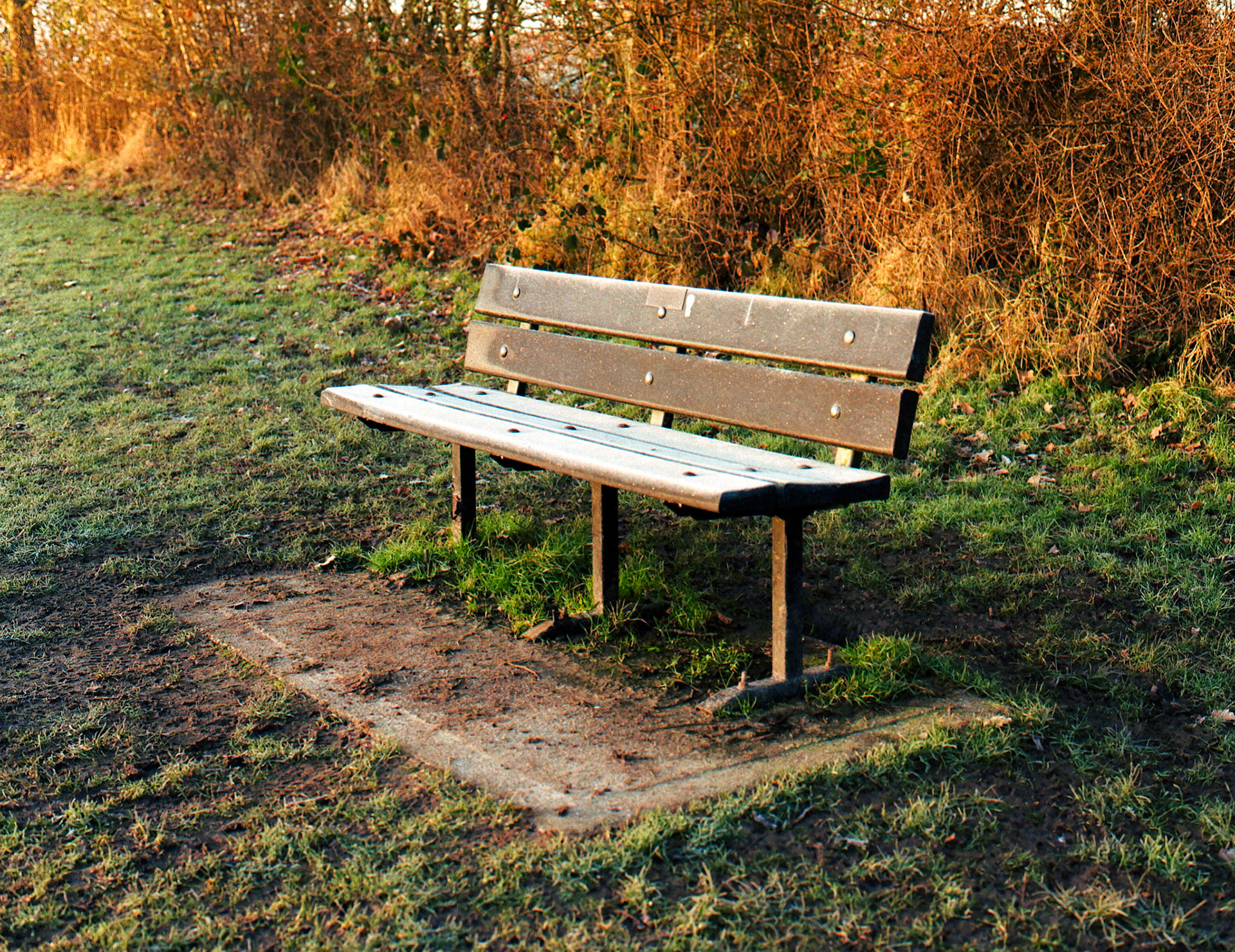 Frosty Bench
