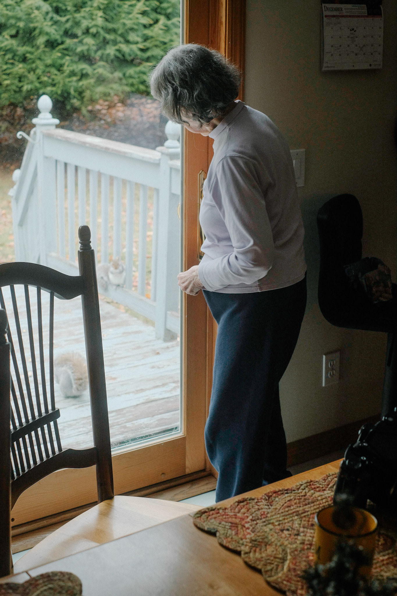 Morning in Vt Digital