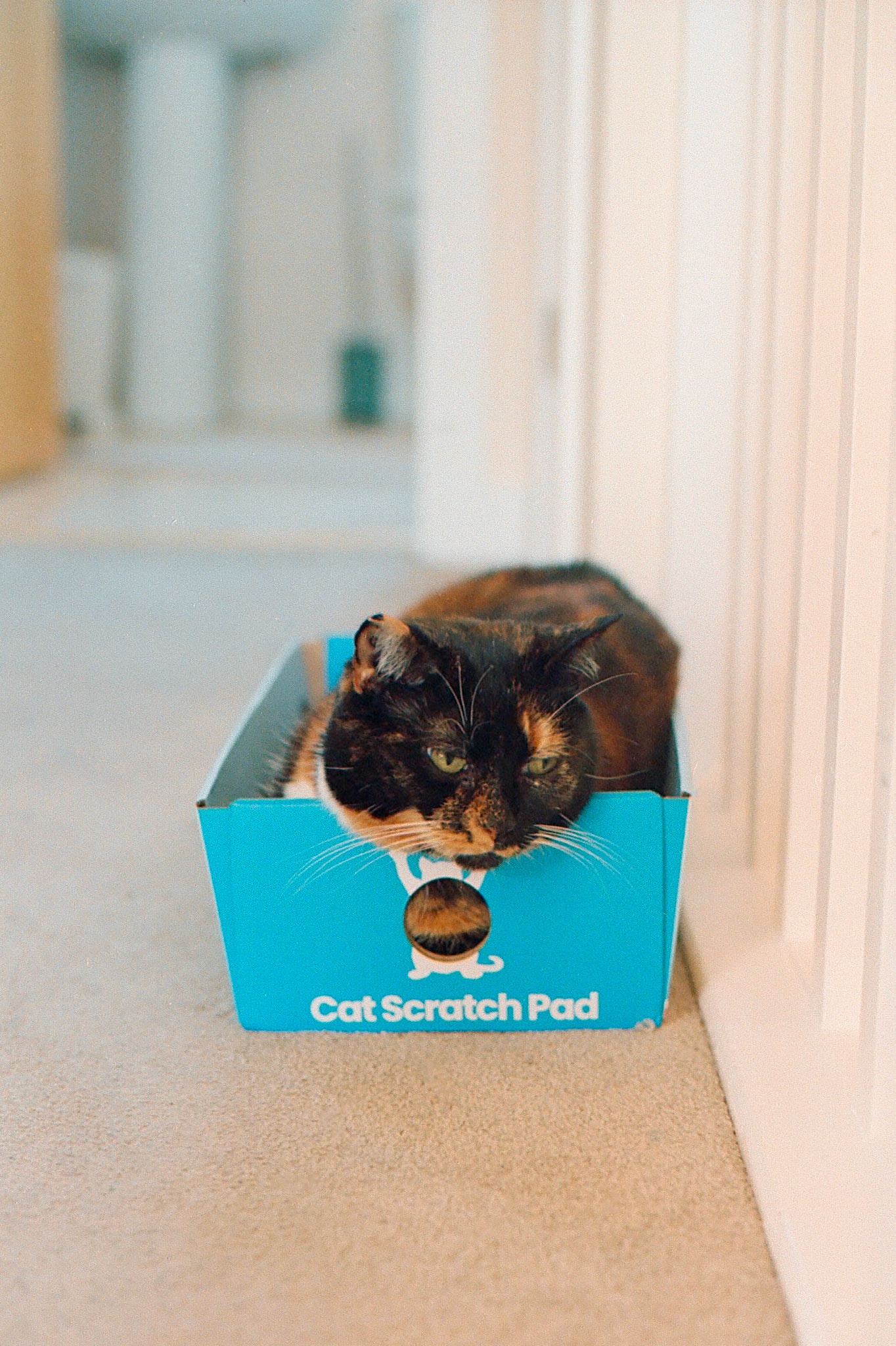 Love a Good Box