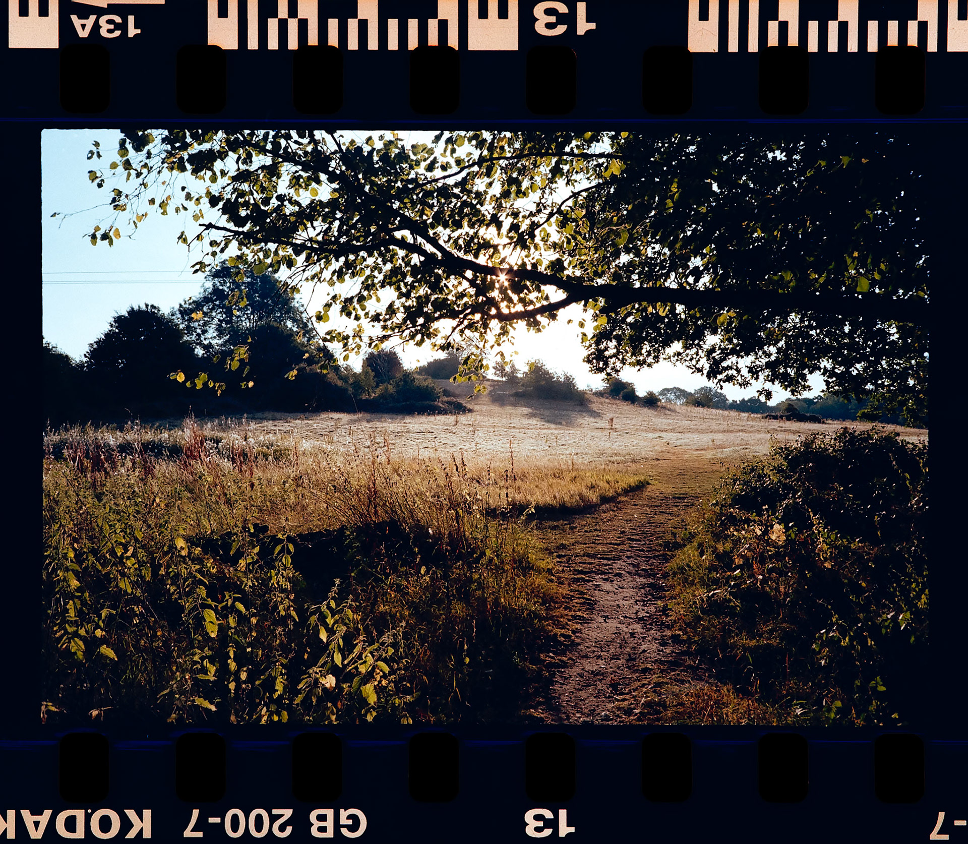 Dad's Old Olympus Camera
