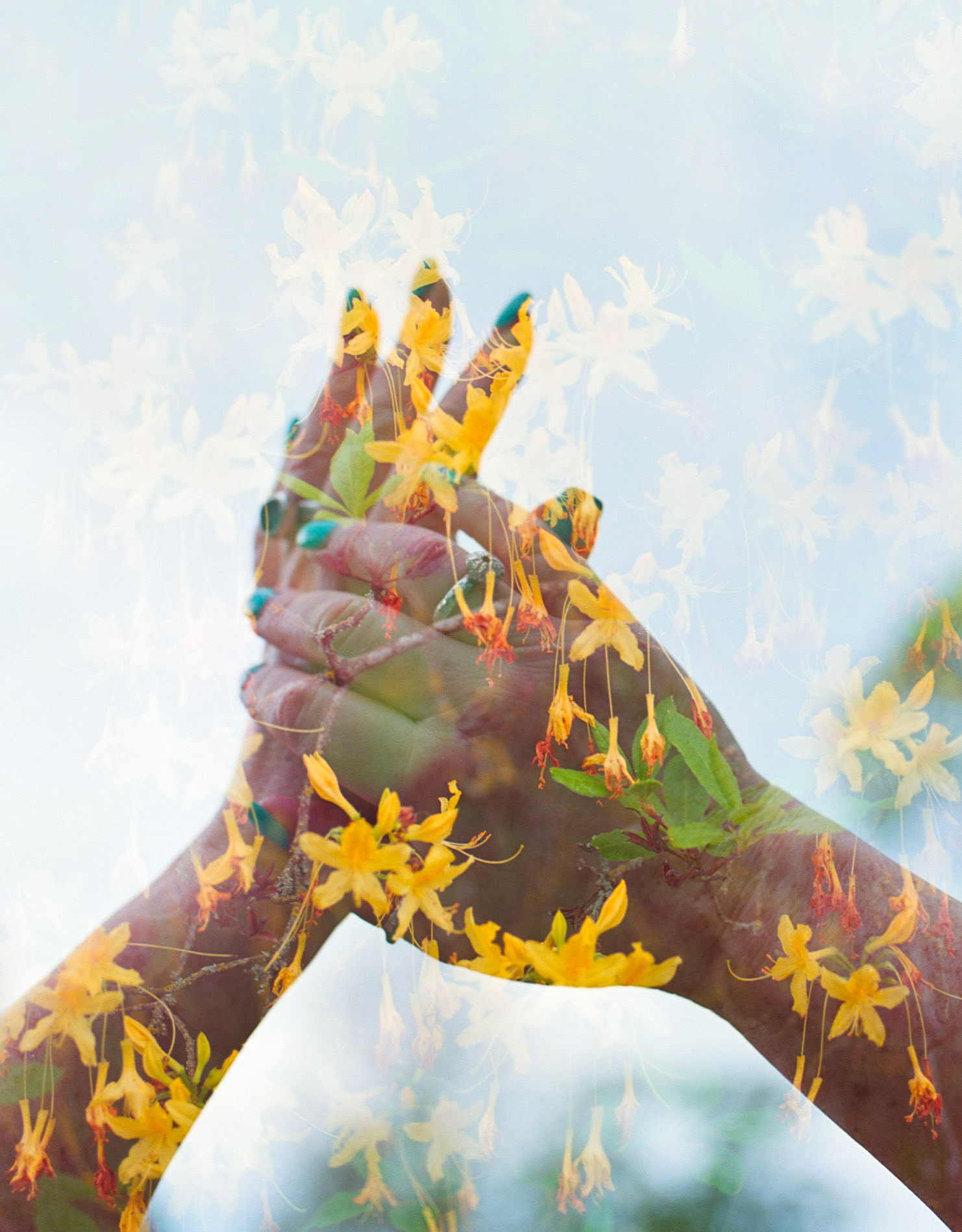 In Camera Film Double Exposure