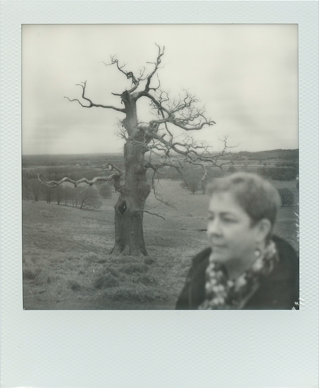 Paula, a tree and Petworth. SX70