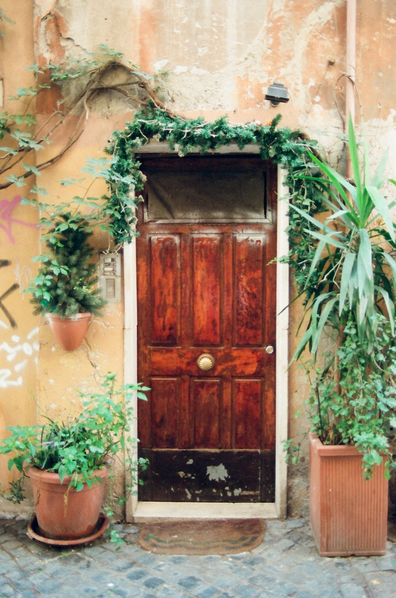 Door in Trastavere