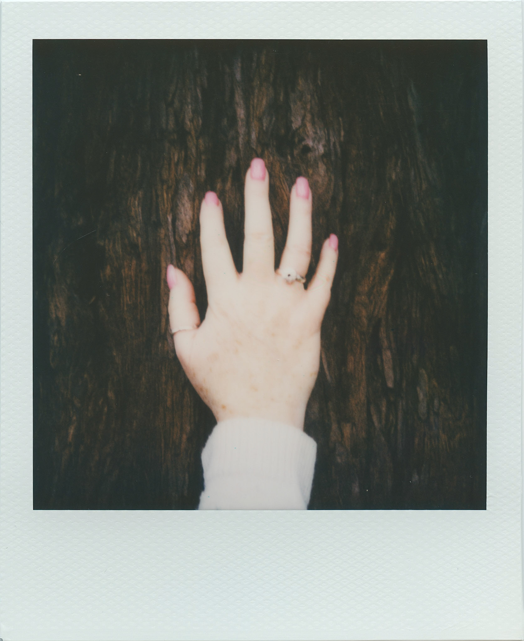 Continuing Series of Hand Photos