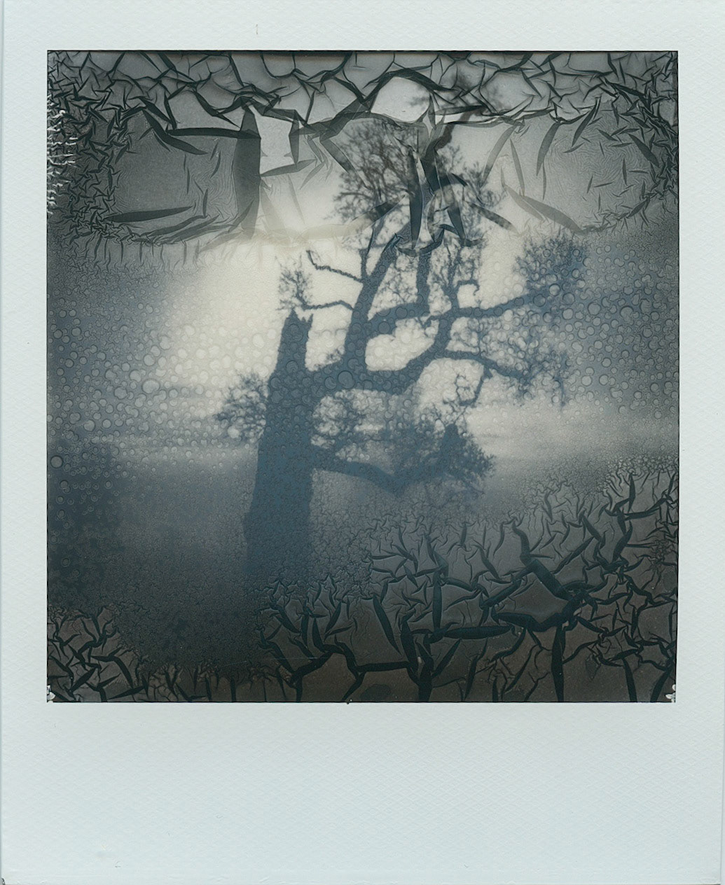 Polaroid Destruction by Paula