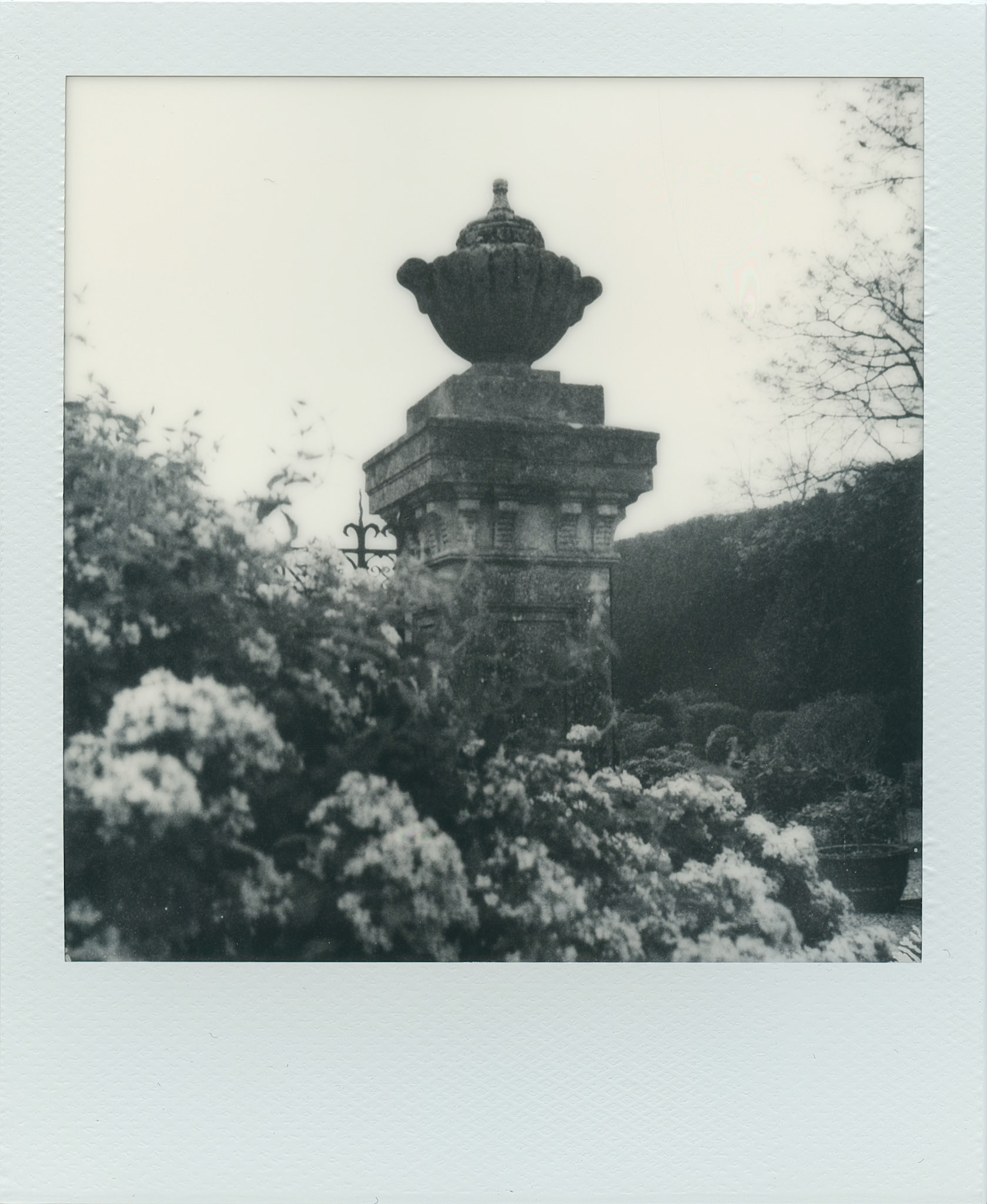 Walled Garden