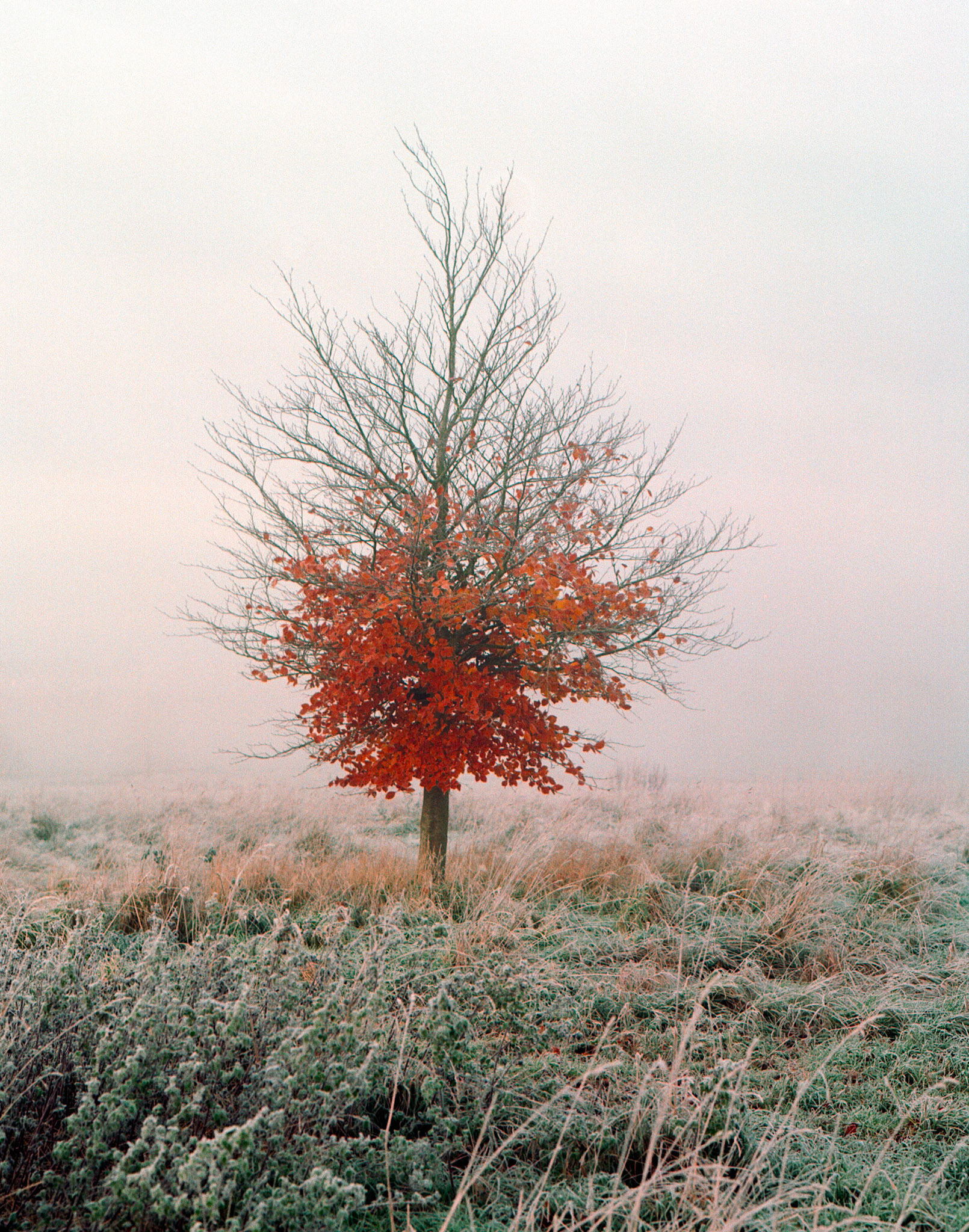 Autumn
