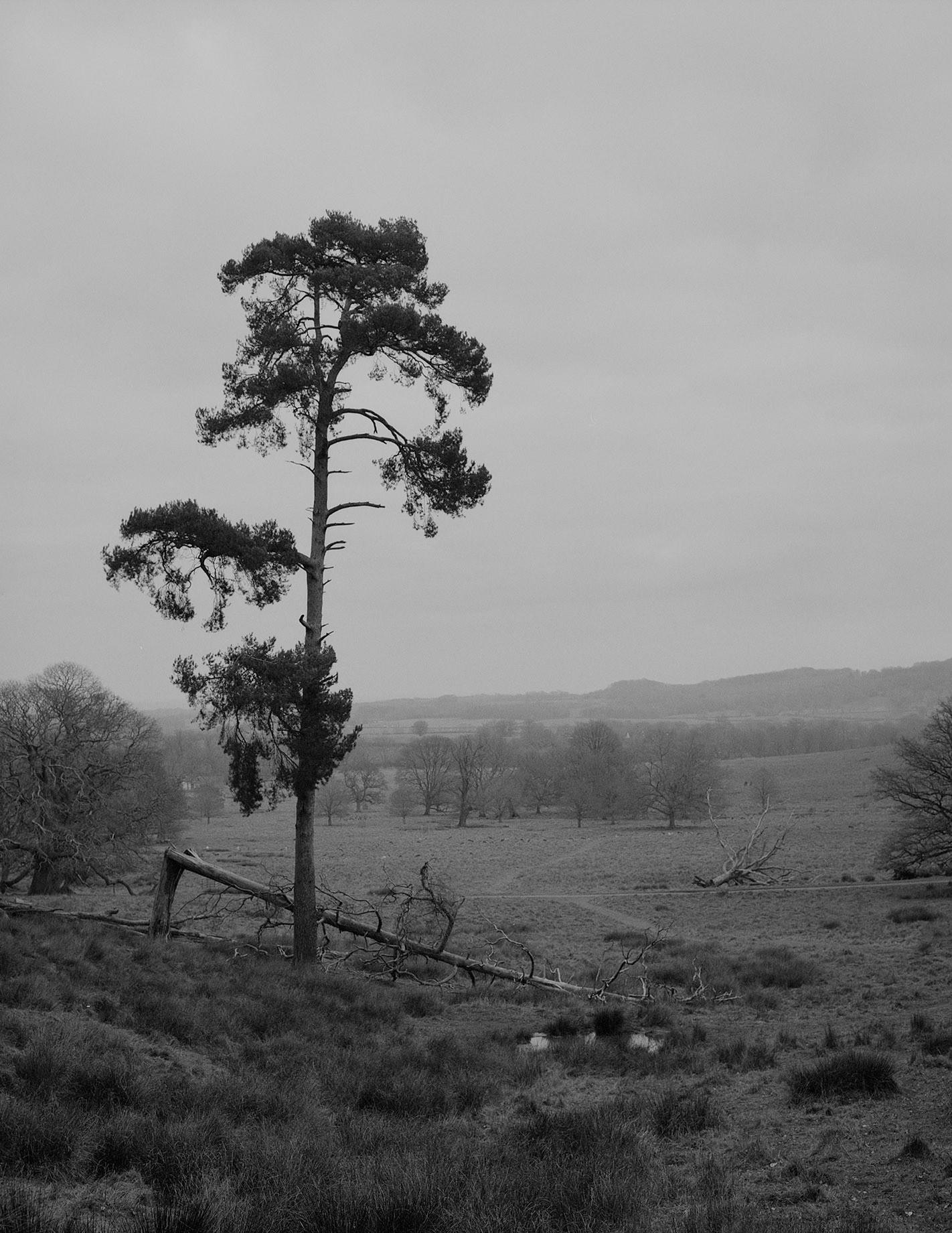 Petworth