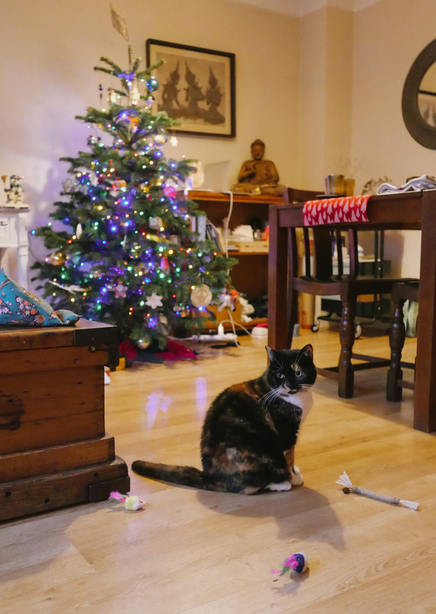 Moki Pleased with Presents