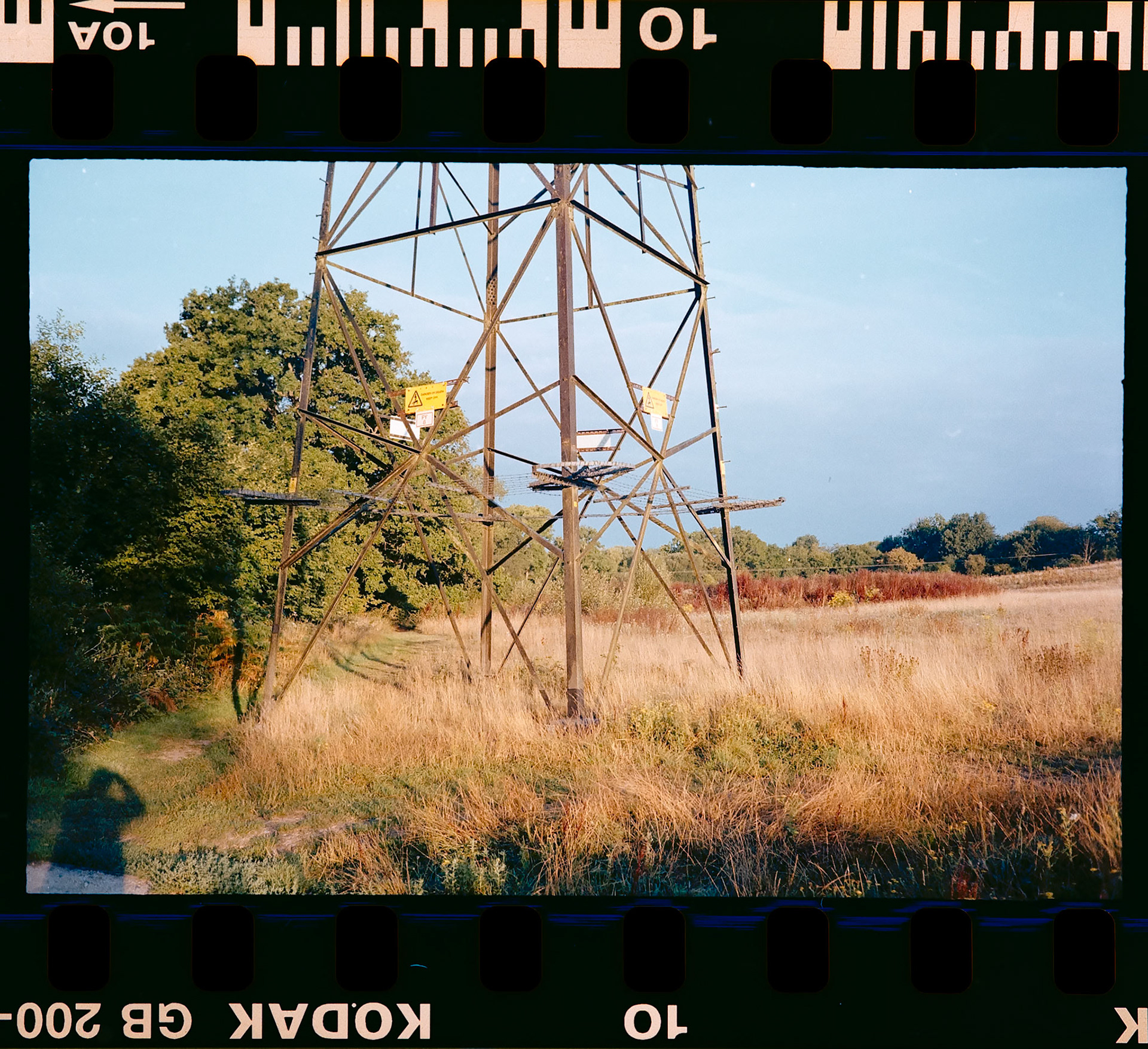 Dad's Old Olympus Camera