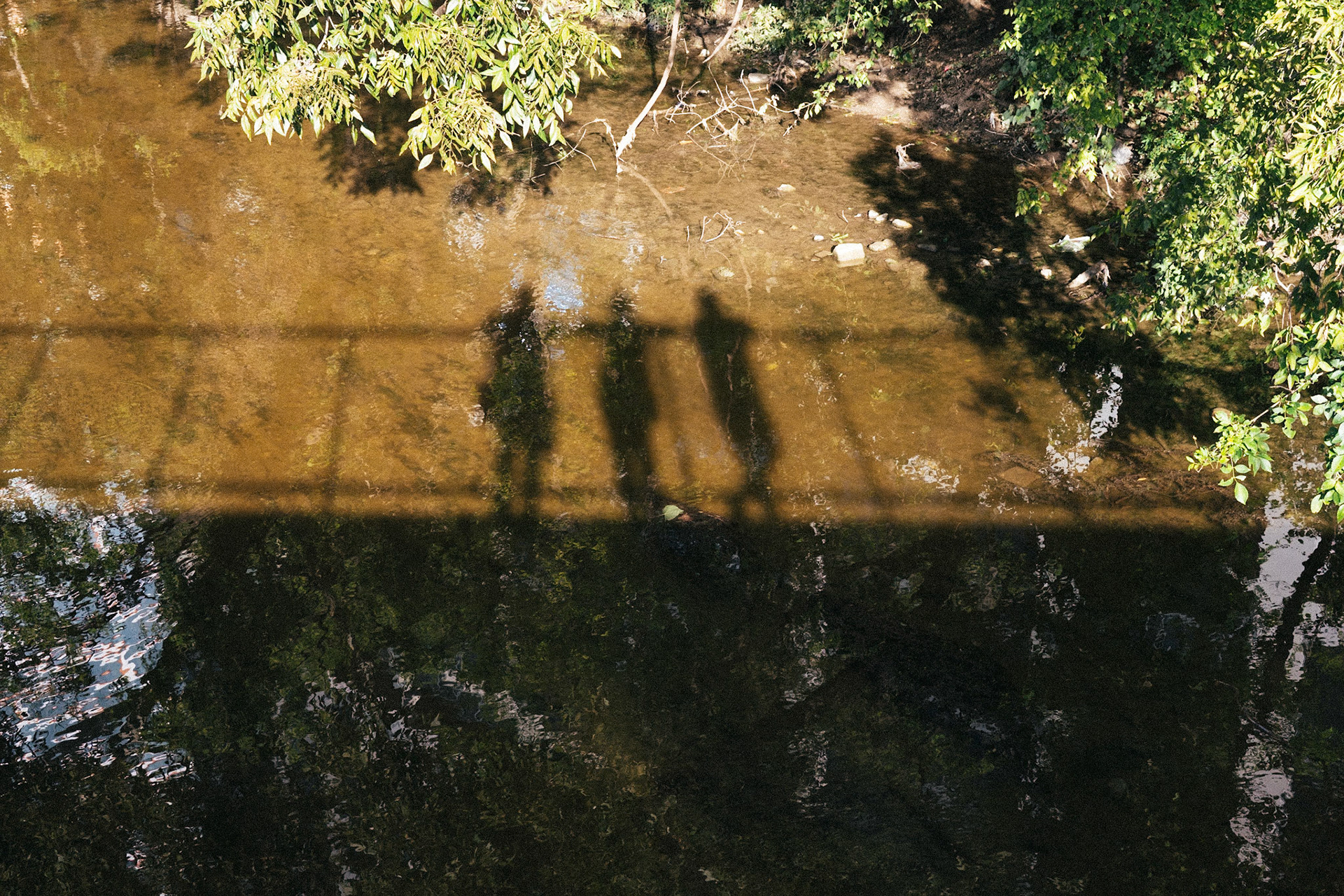 Shadows of Ourselves Digital