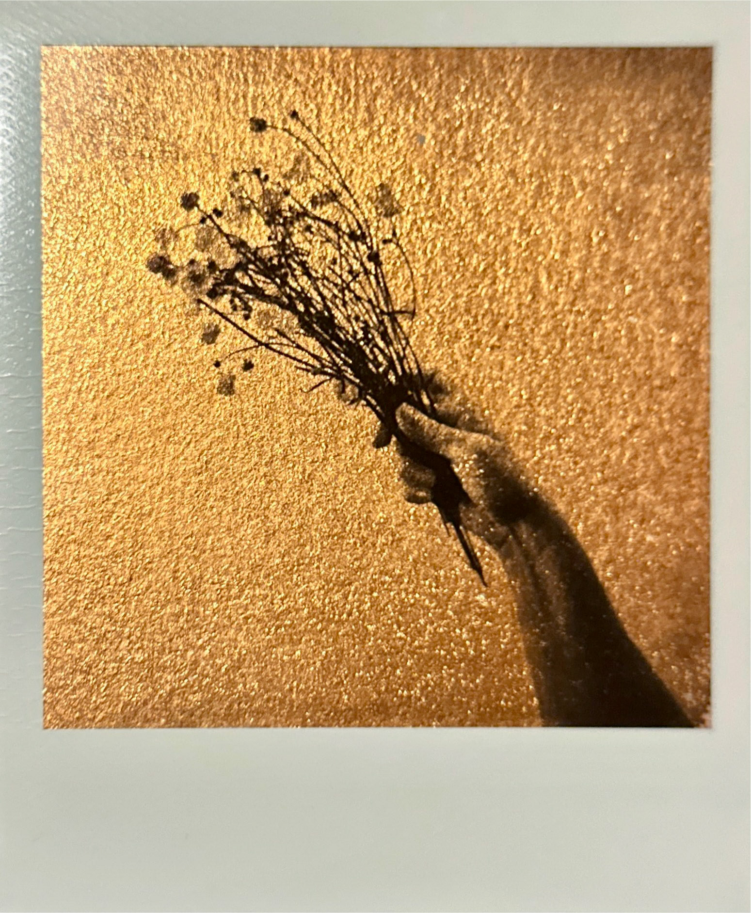 Gilded Polaroid