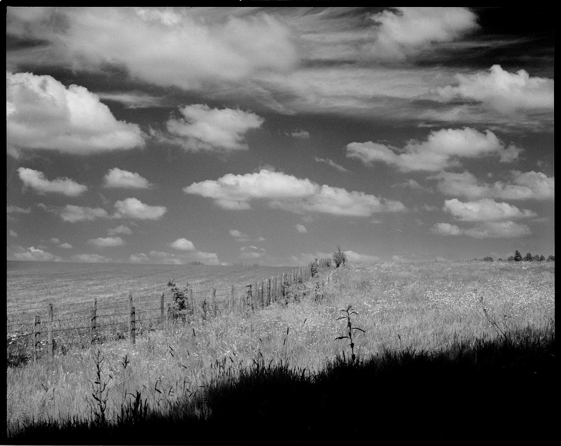 Infrared