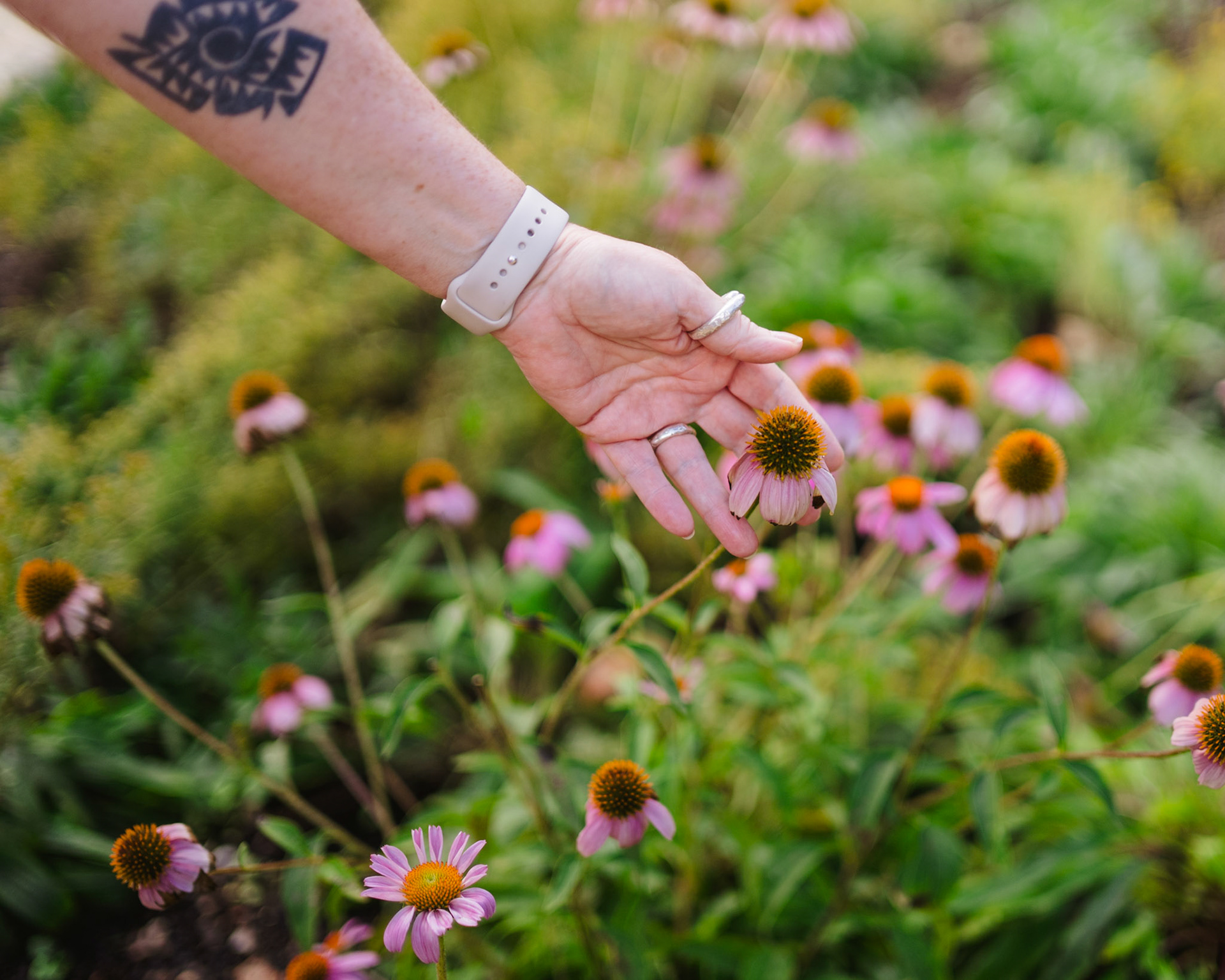 End of Season Flowers Digital