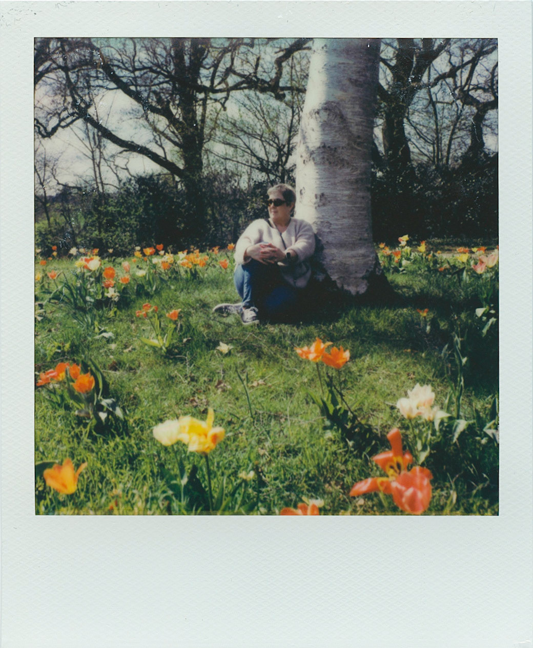 Wisley