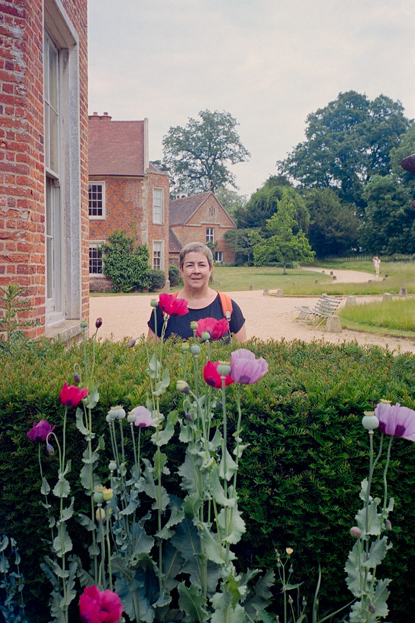 The Vyne