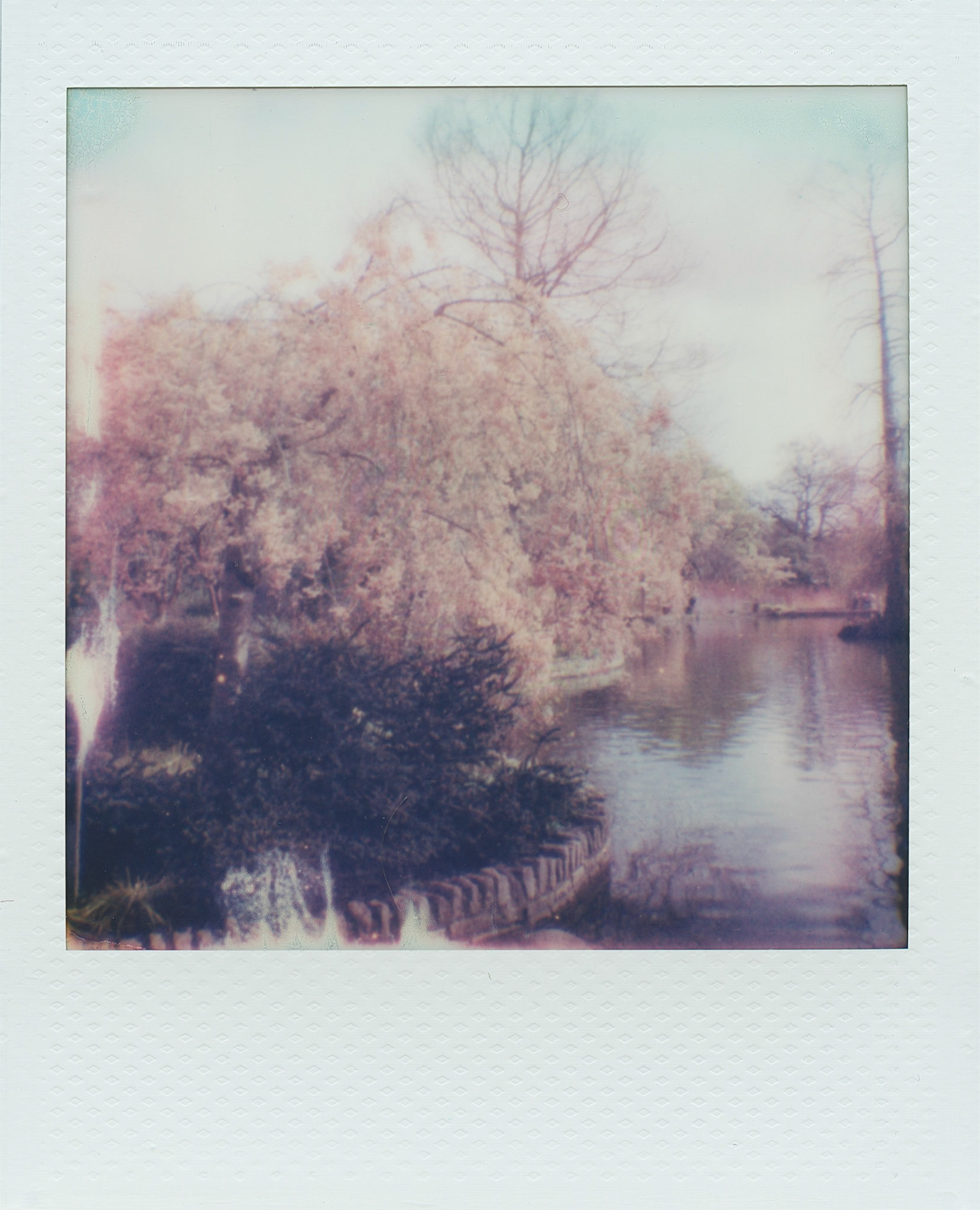 Wisley