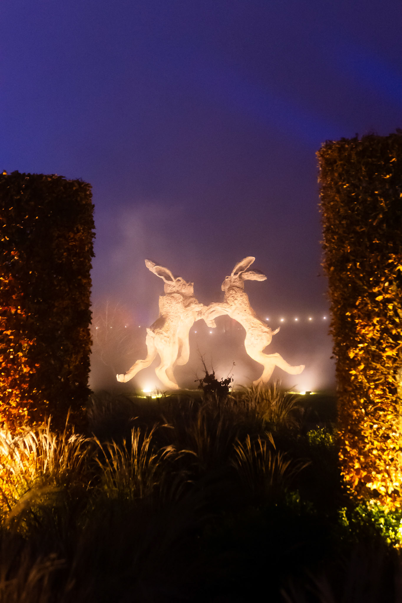 Glow at Wisley