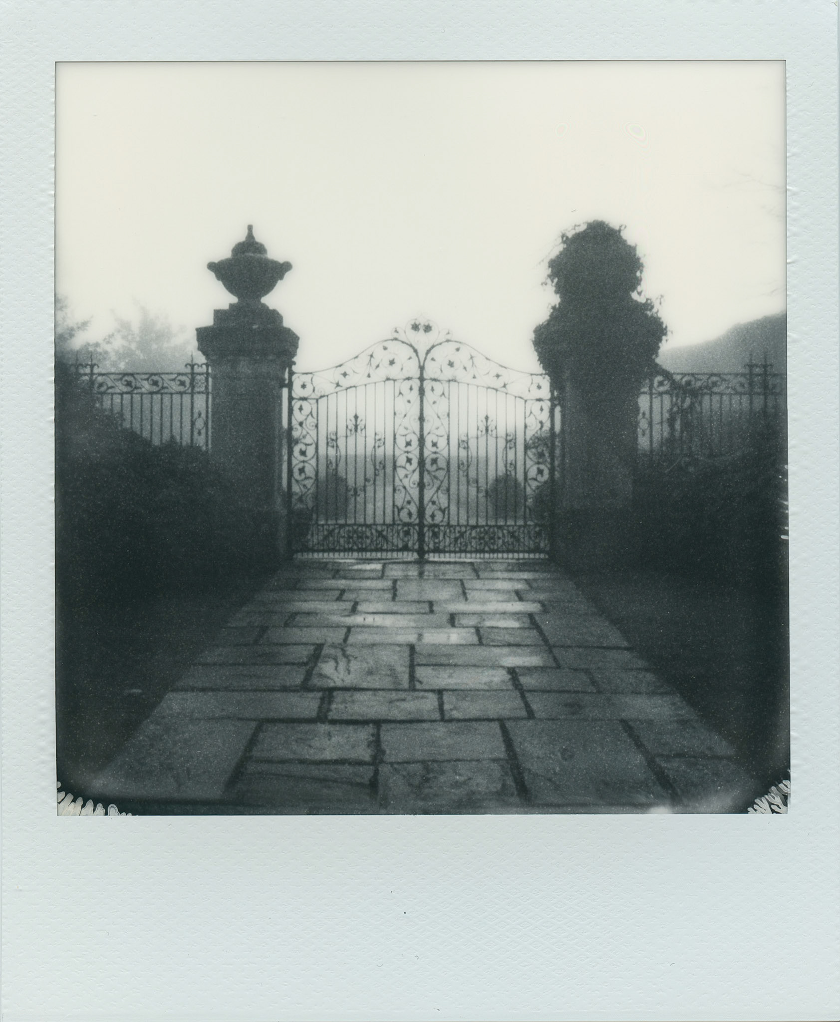 Walled Garden