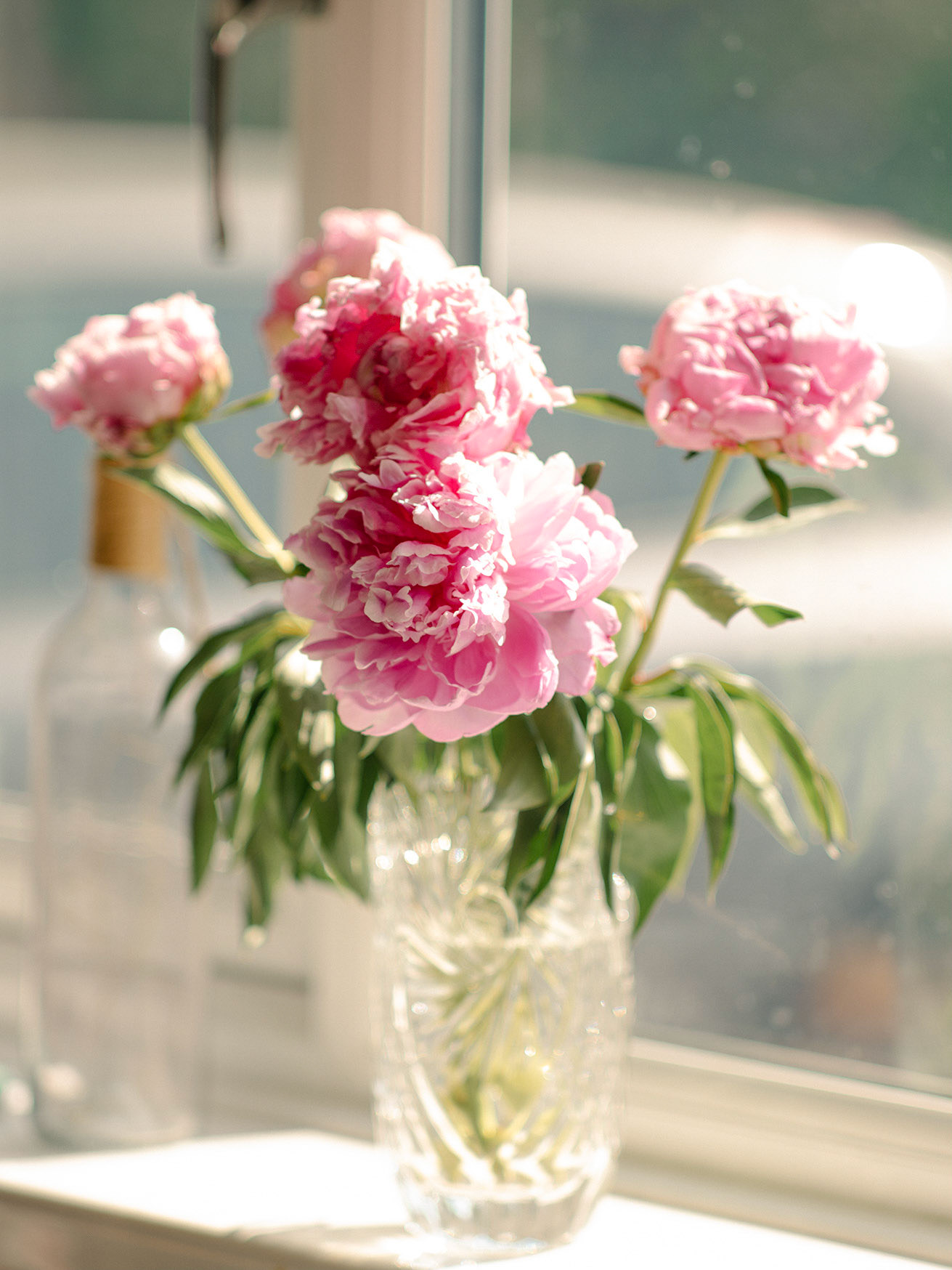 Peonies