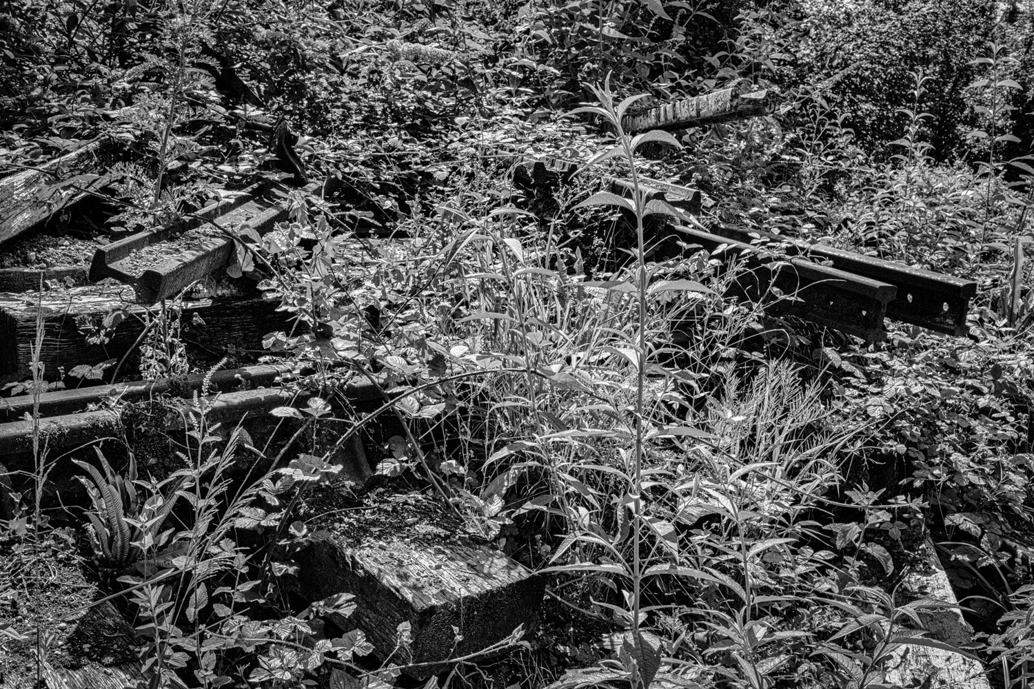 End of the Lines
