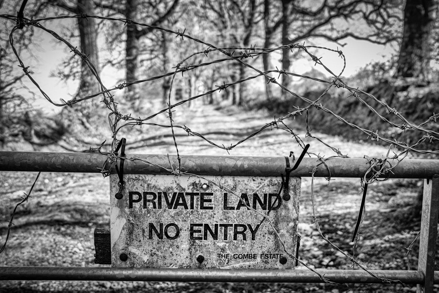 Study in Barbed Wire