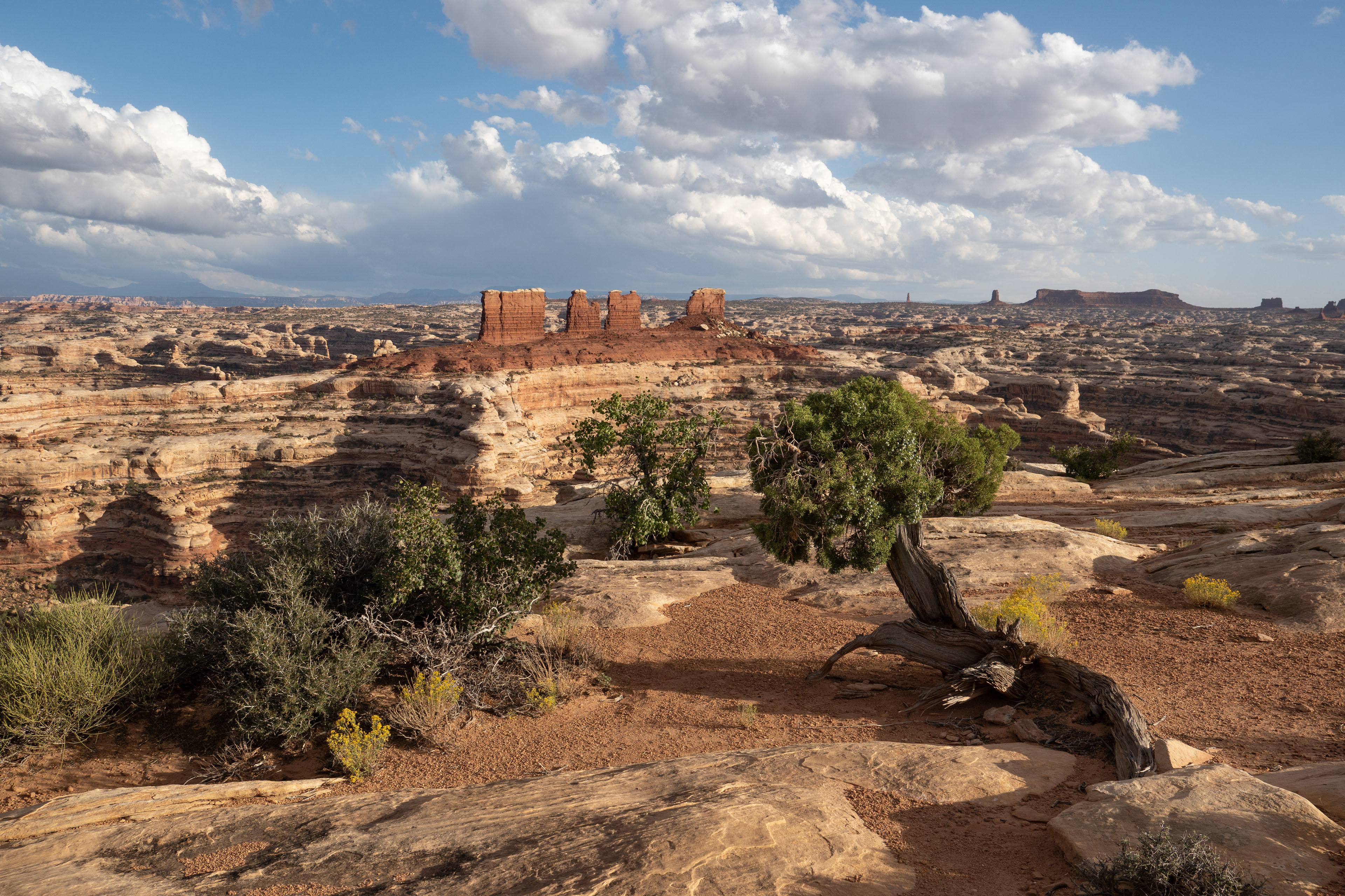 "The Maze" - Utah, USA