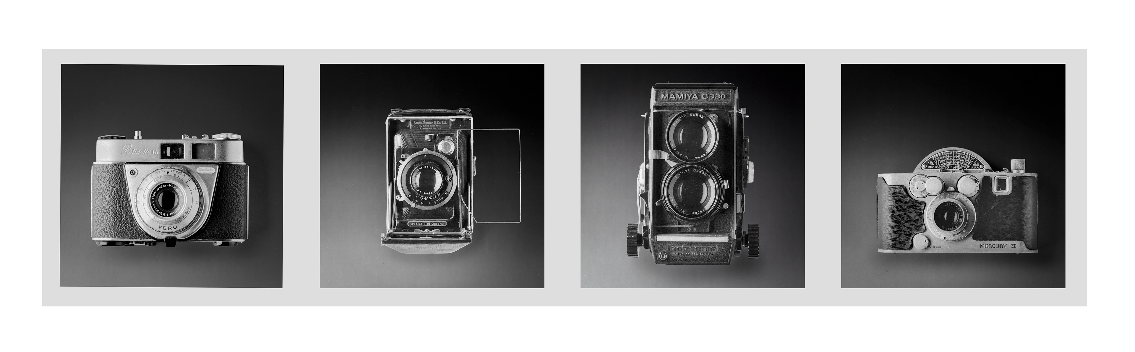 All cameras taken with a Fuji GX680II medium format camera and background taken with a Toyo 8x10 large format camera. All developed with a loving hand - mine.